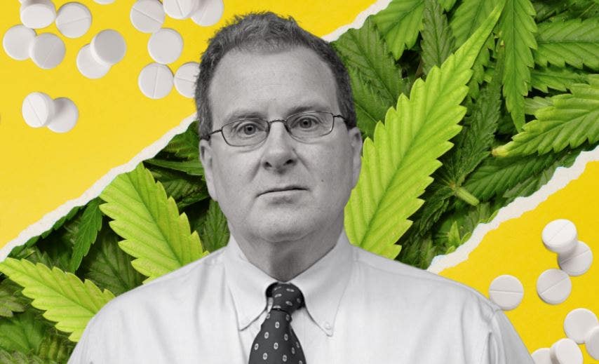 Harvard Dr. Peter Grinspoon On Oxycodone And Cannabis For Harm Reduction: 'By Combining Opioids And Cannabis The Doses Can Stay Low'