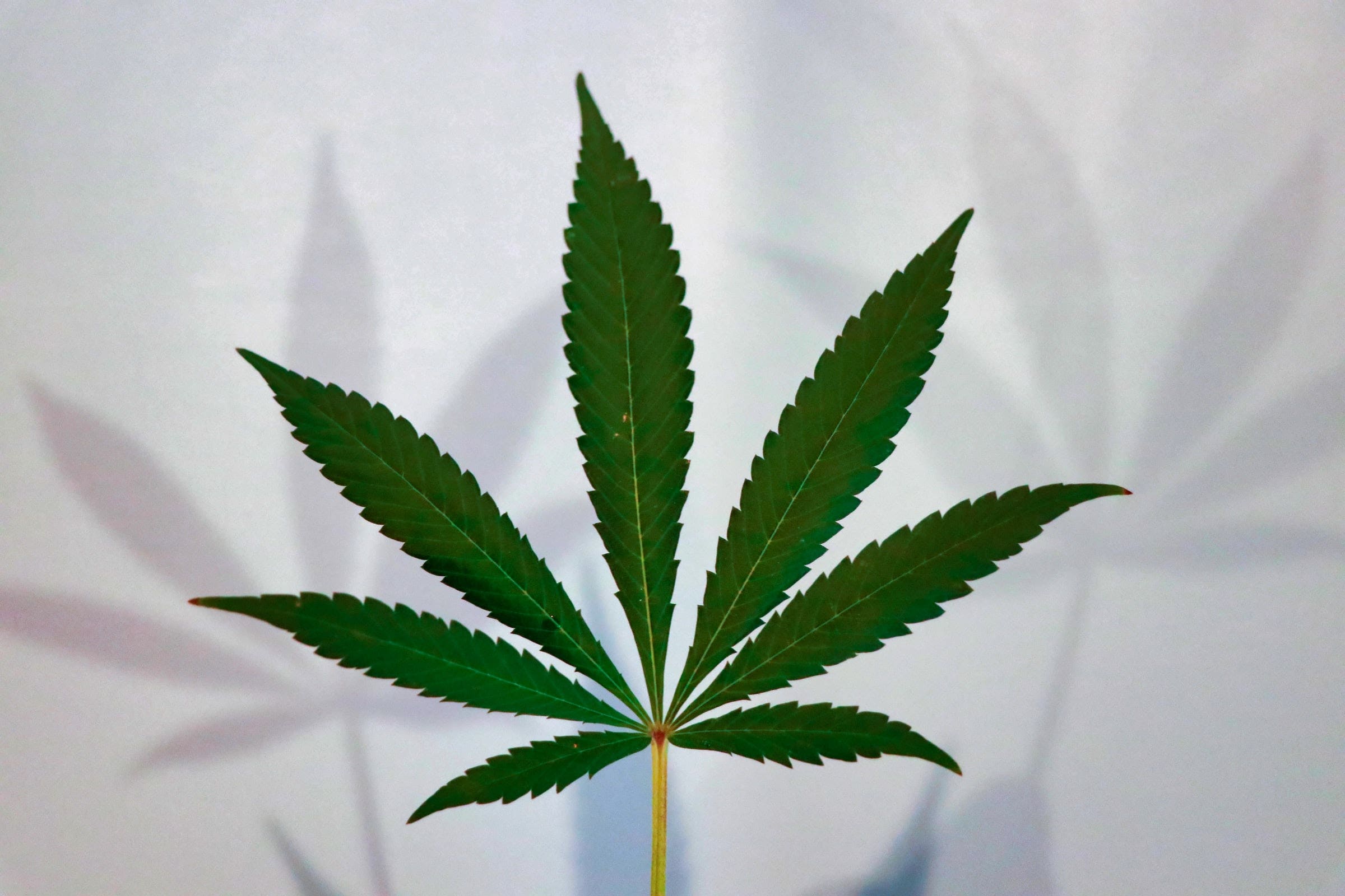 Marijuana Milestone: Michigan's Gage Growth Begins Trading On The US OTCQX