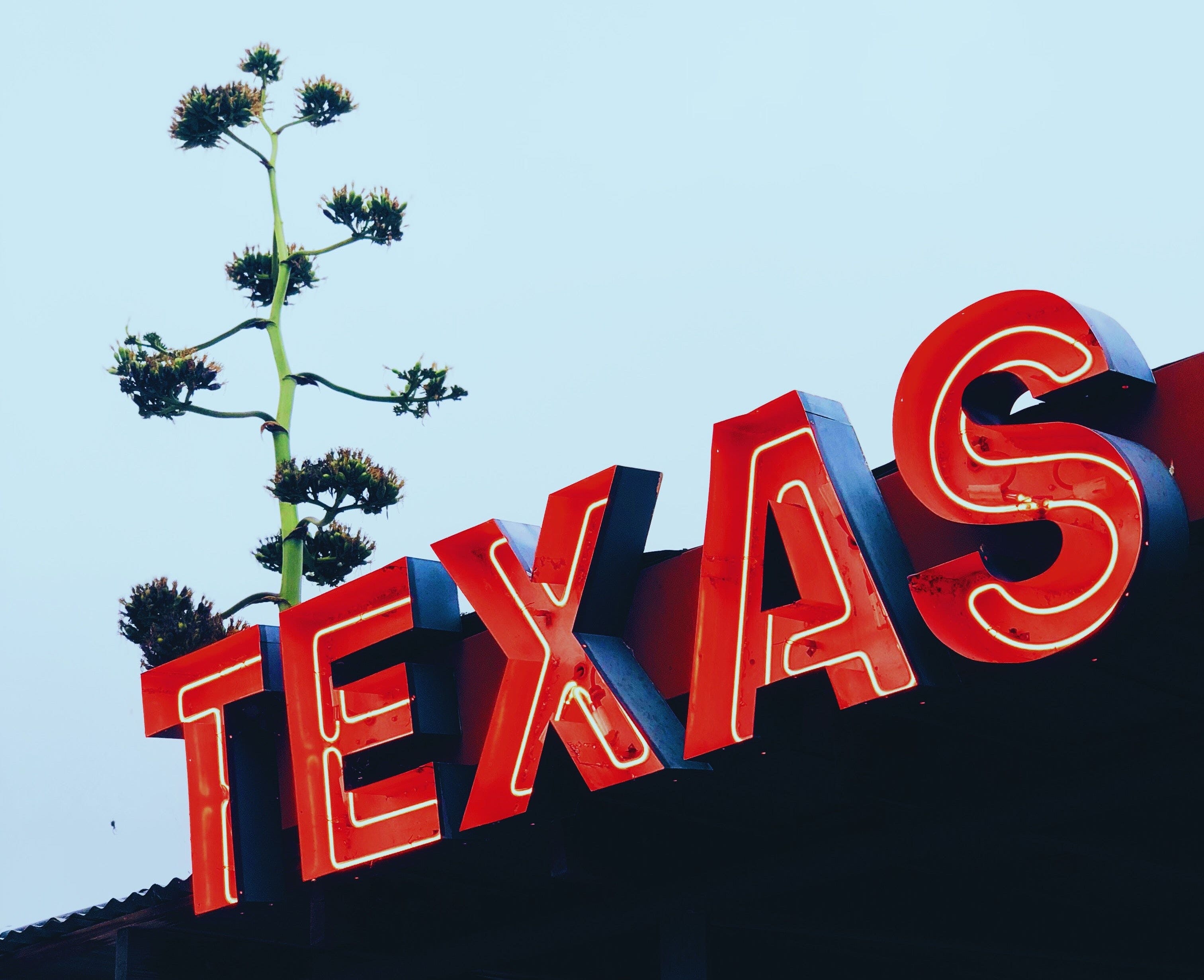 How Texas Can Do What California Won't: Get Cannabis Regulation Right