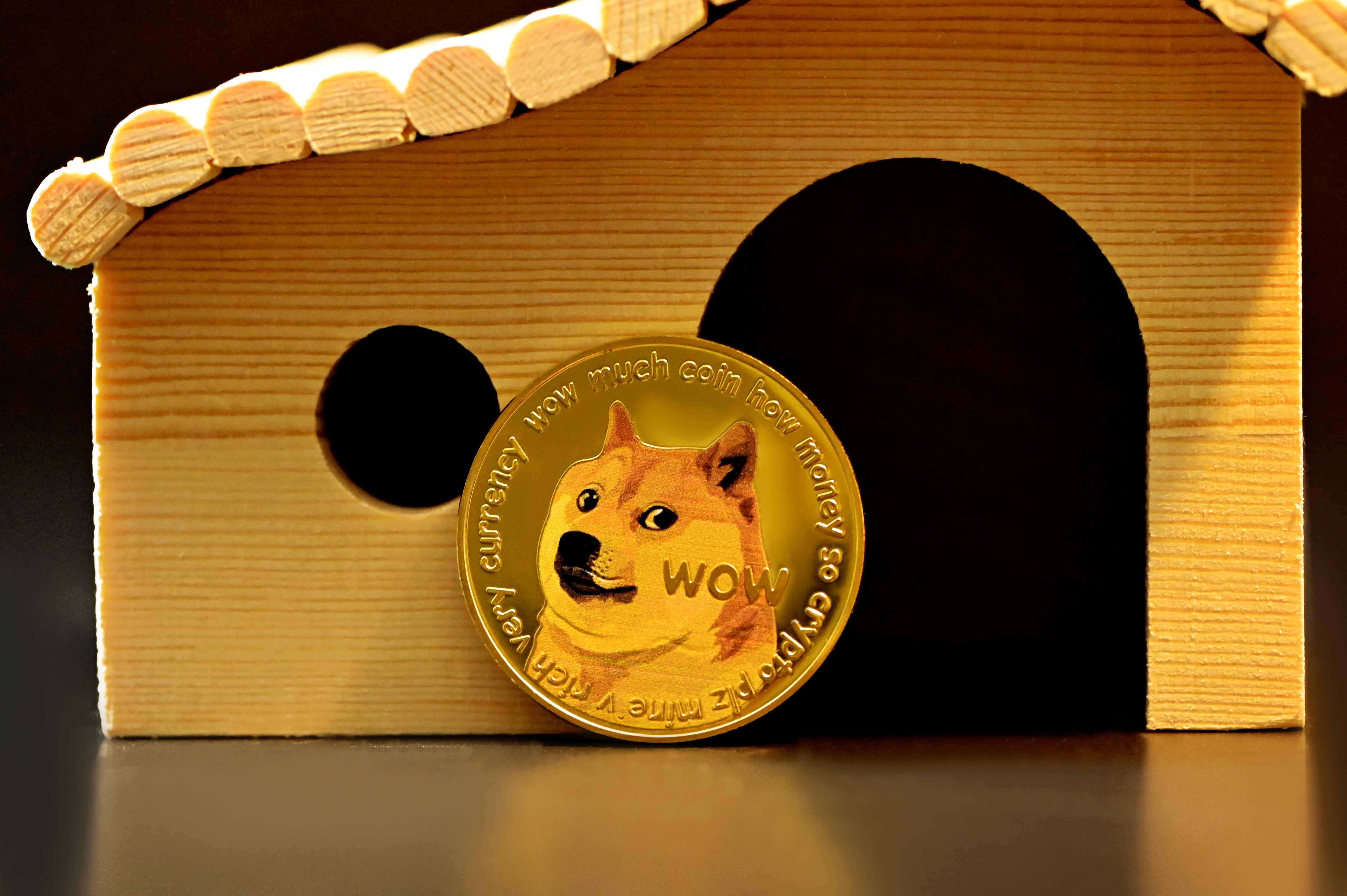 Dogecoin Continues To Slump: Can This Robinhood News Make It Buoyant Again?