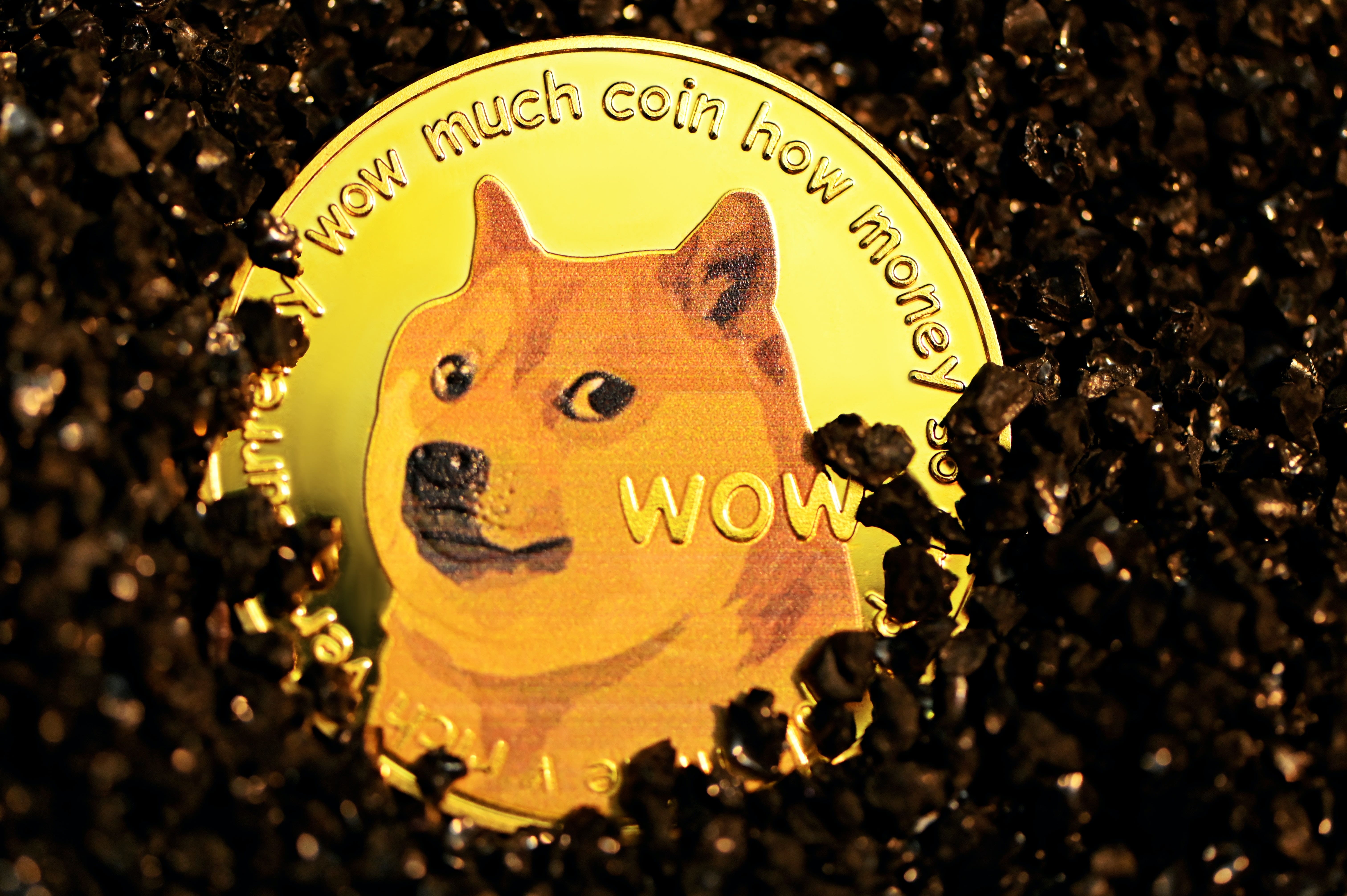 This Louisville Cafe Is Rebranding As 'Dogebean' And Will Accept Payments In Dogecoin