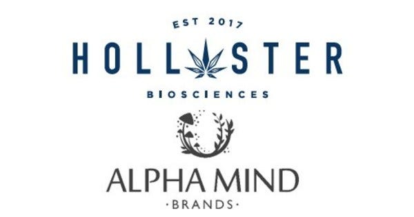Hollister Biosciences Subsidiary To Launch Mushroom-Based Product Line