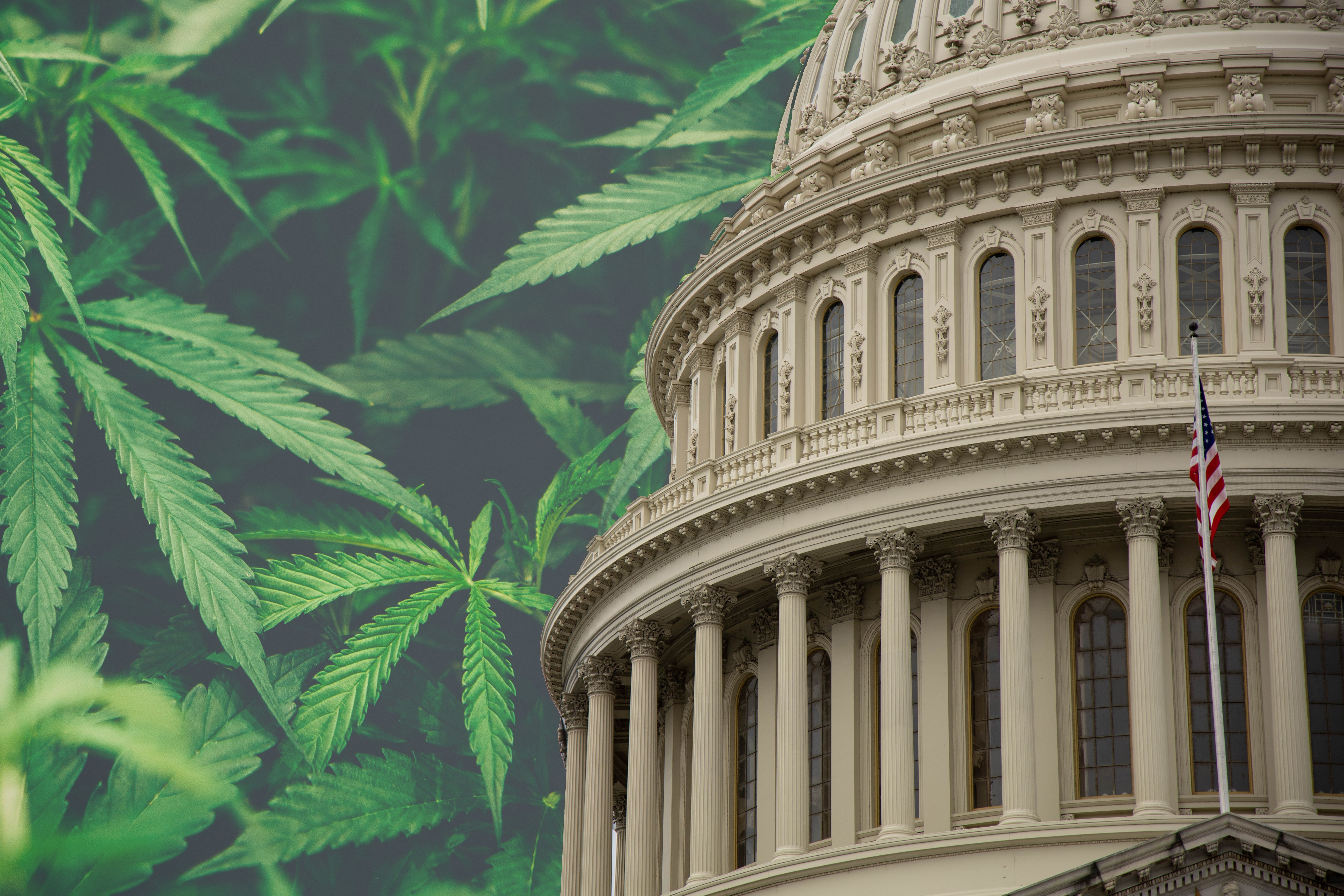 House Committee Holds Hearing On 'Cannabis Policies for the New Decade'