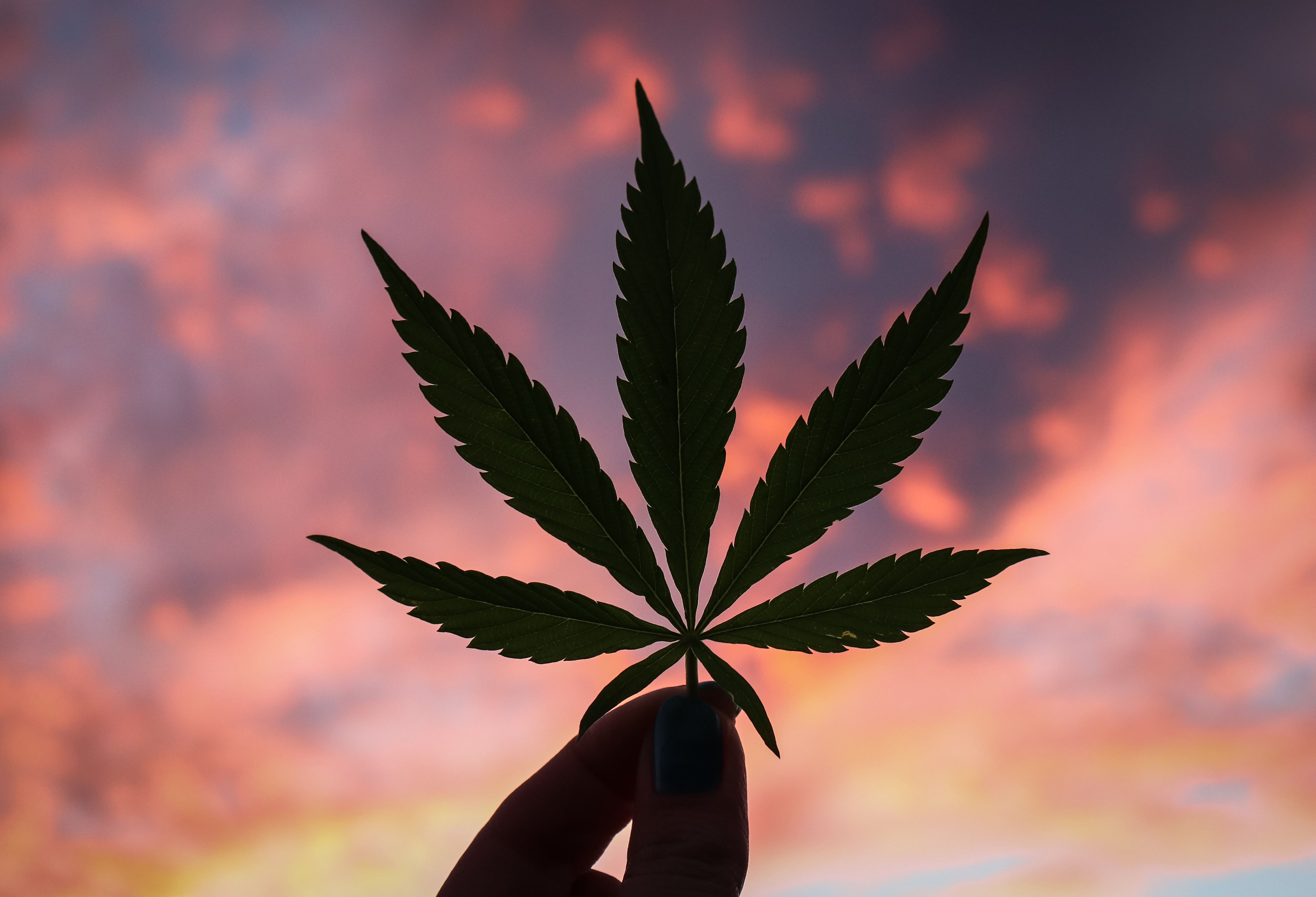 Cannabis Movers & Shakers: Jushi Holdings, HEXO Corp, Delic Holdings, KCSA Strategic Communications, Green Check Verified