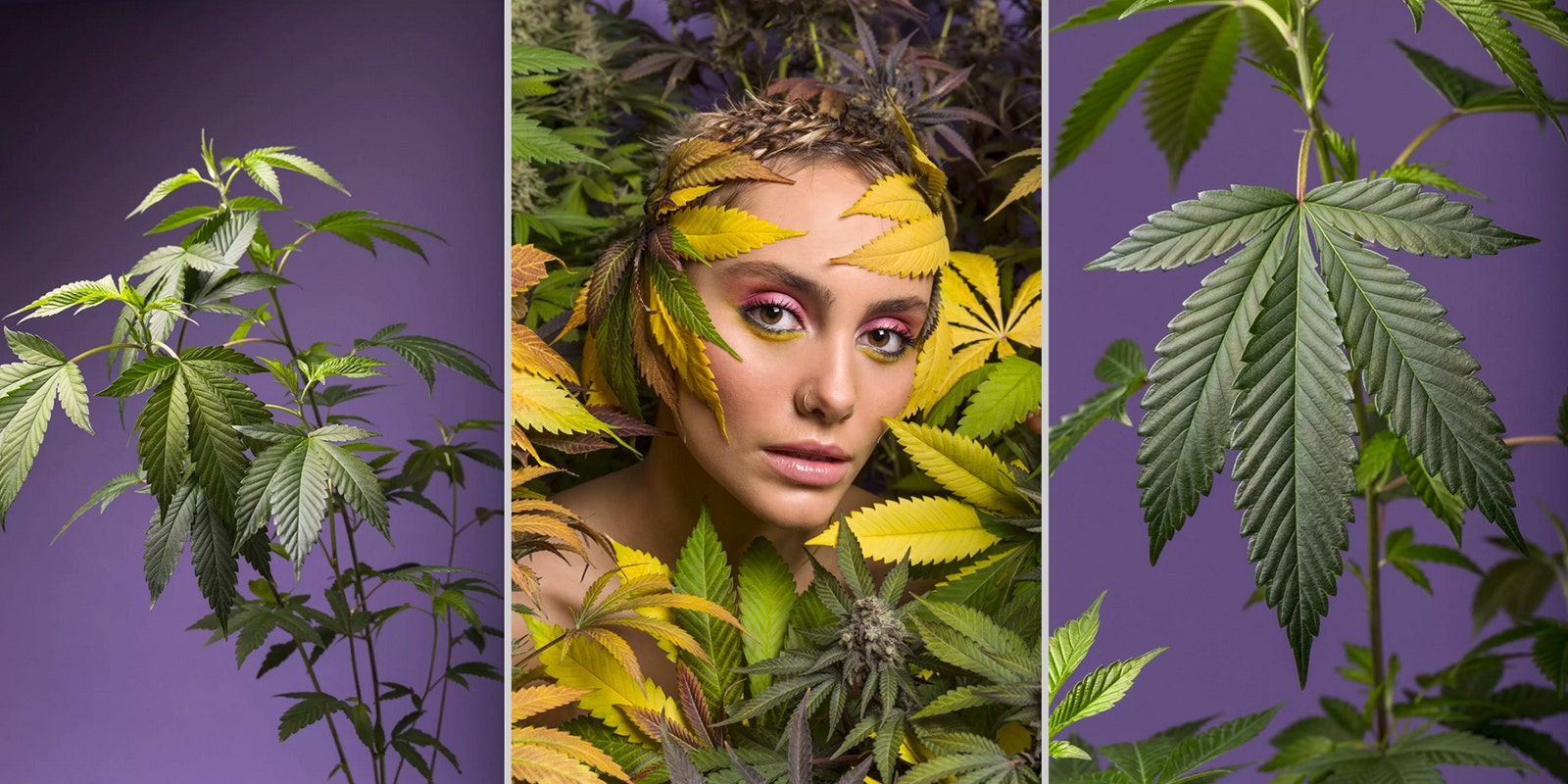 Lelen Ruete's Cannabis Photography: 'The Plant Is Artistic, I Propose To Enhance It'