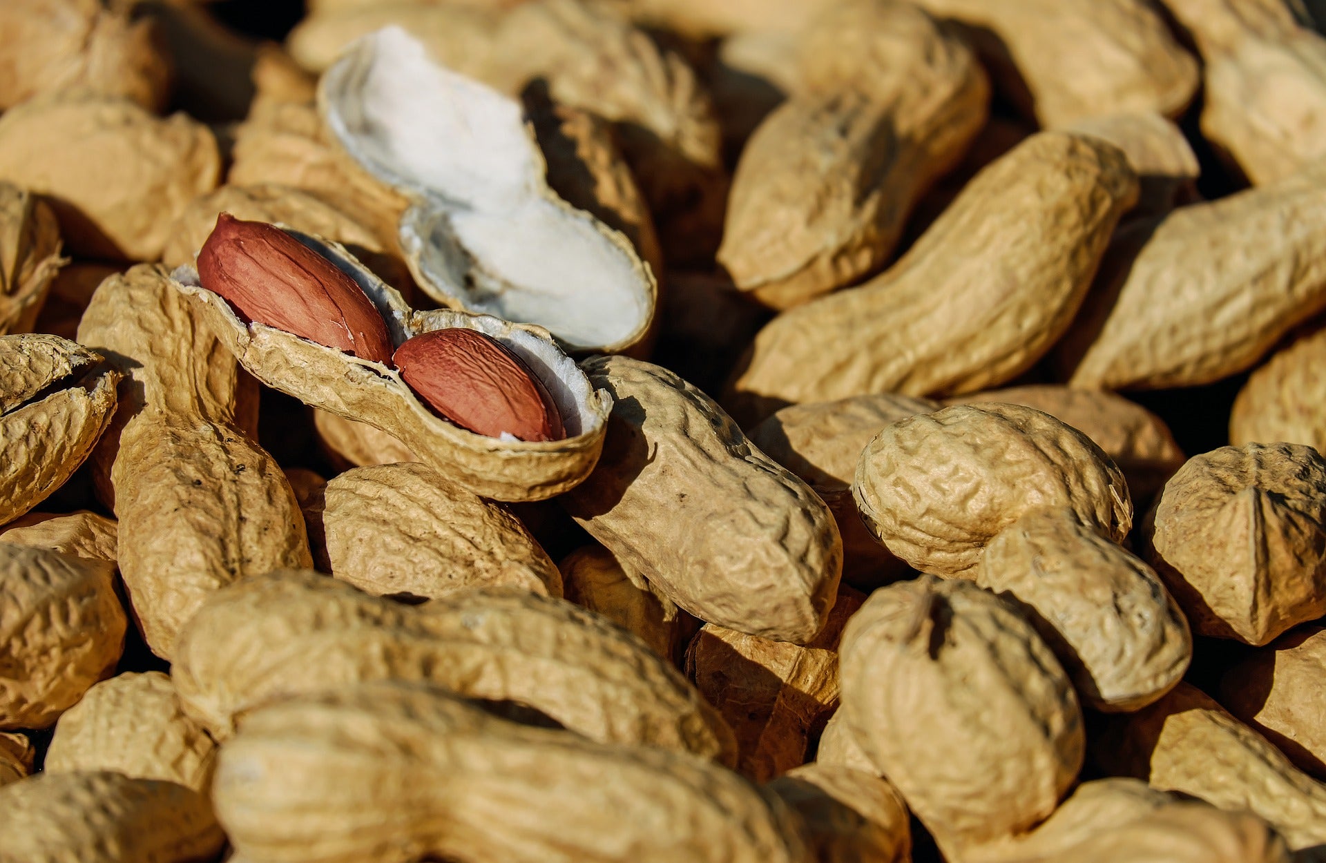 DBV Resubmits Regulatory Application For Peanut Allergy Drug, Stock Rallies