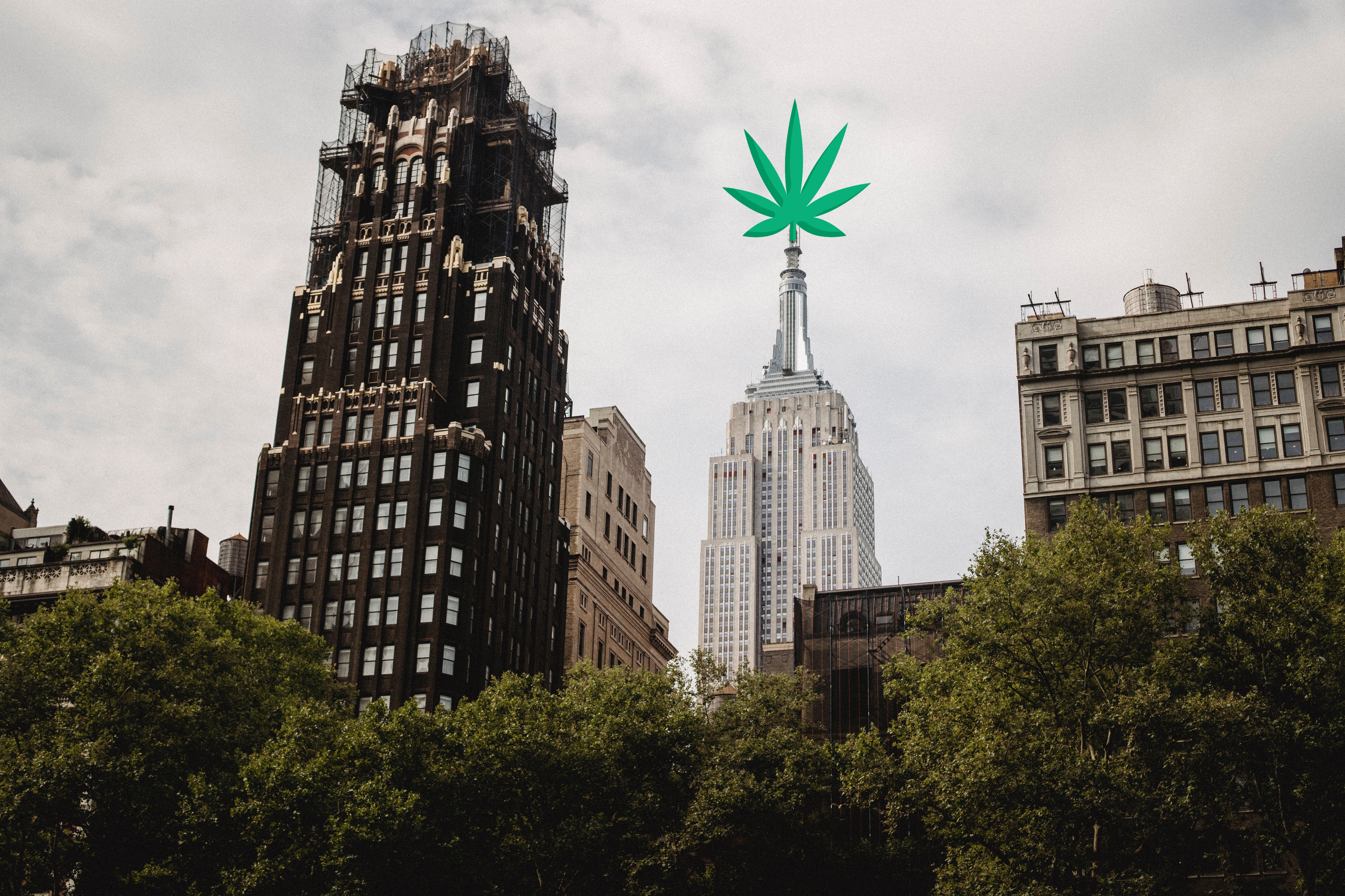 New York Cannabis MSOs Are Ready To Go Recreational: Execs Share Their Plans