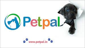 PetPal Investors Tap into Growing Pet E-Commerce Trend in India