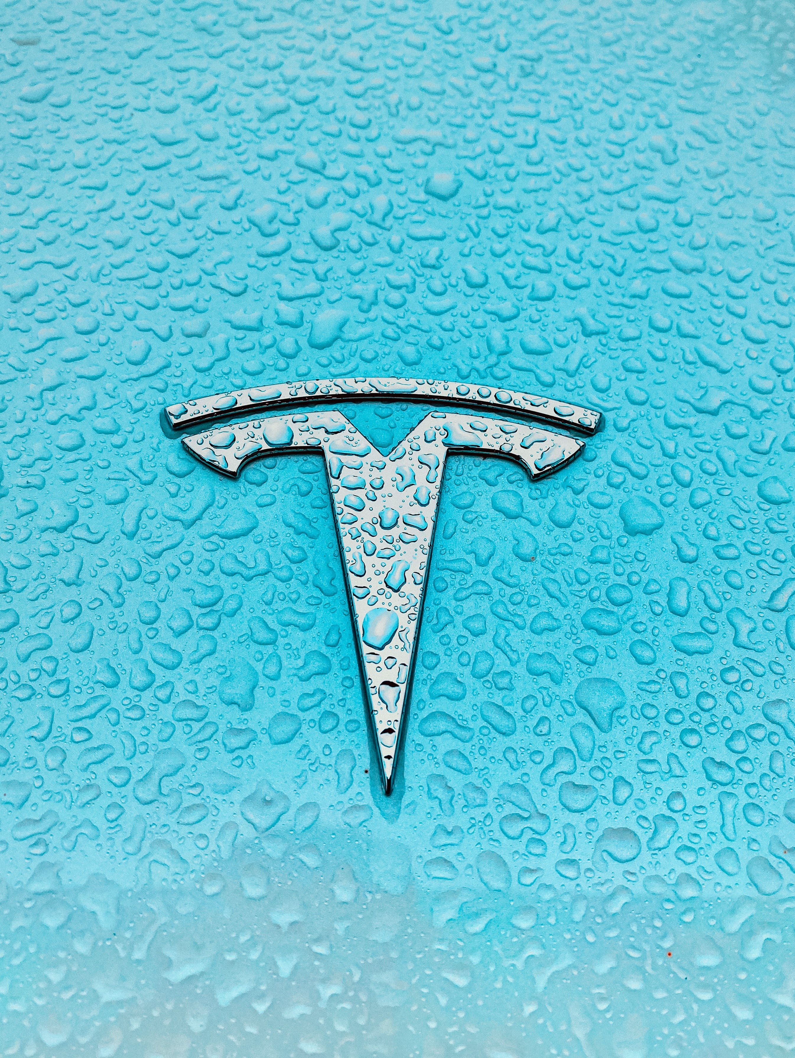 Proposed Bitcoin Ban Becomes X Factor In Tesla's India Foray