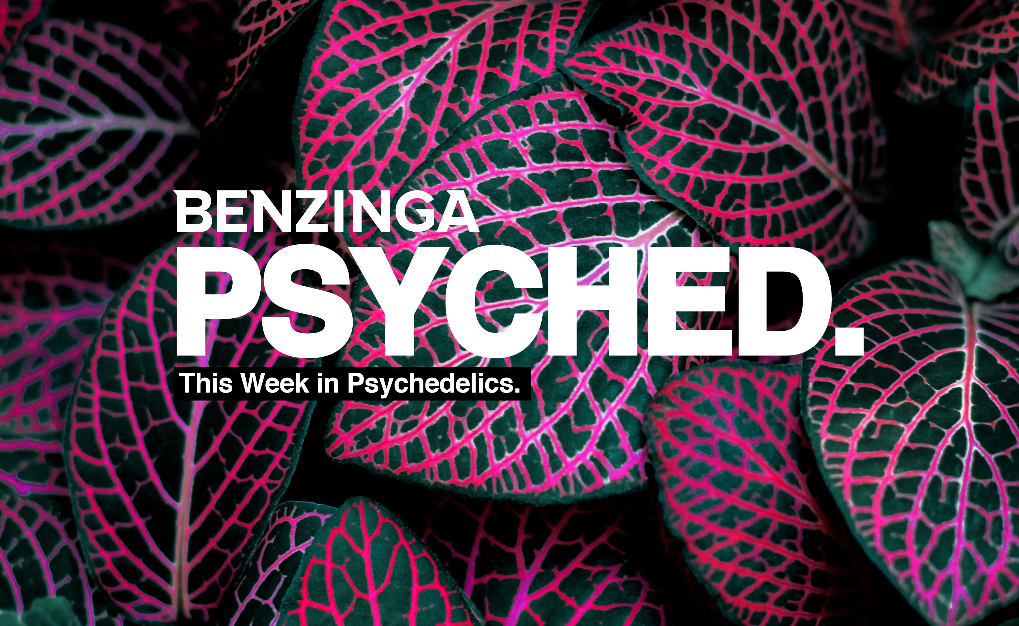 'Psyched': MAPS Scores $30M, Mydecine Gets Psilocybin License, Psychedelic Science Sold