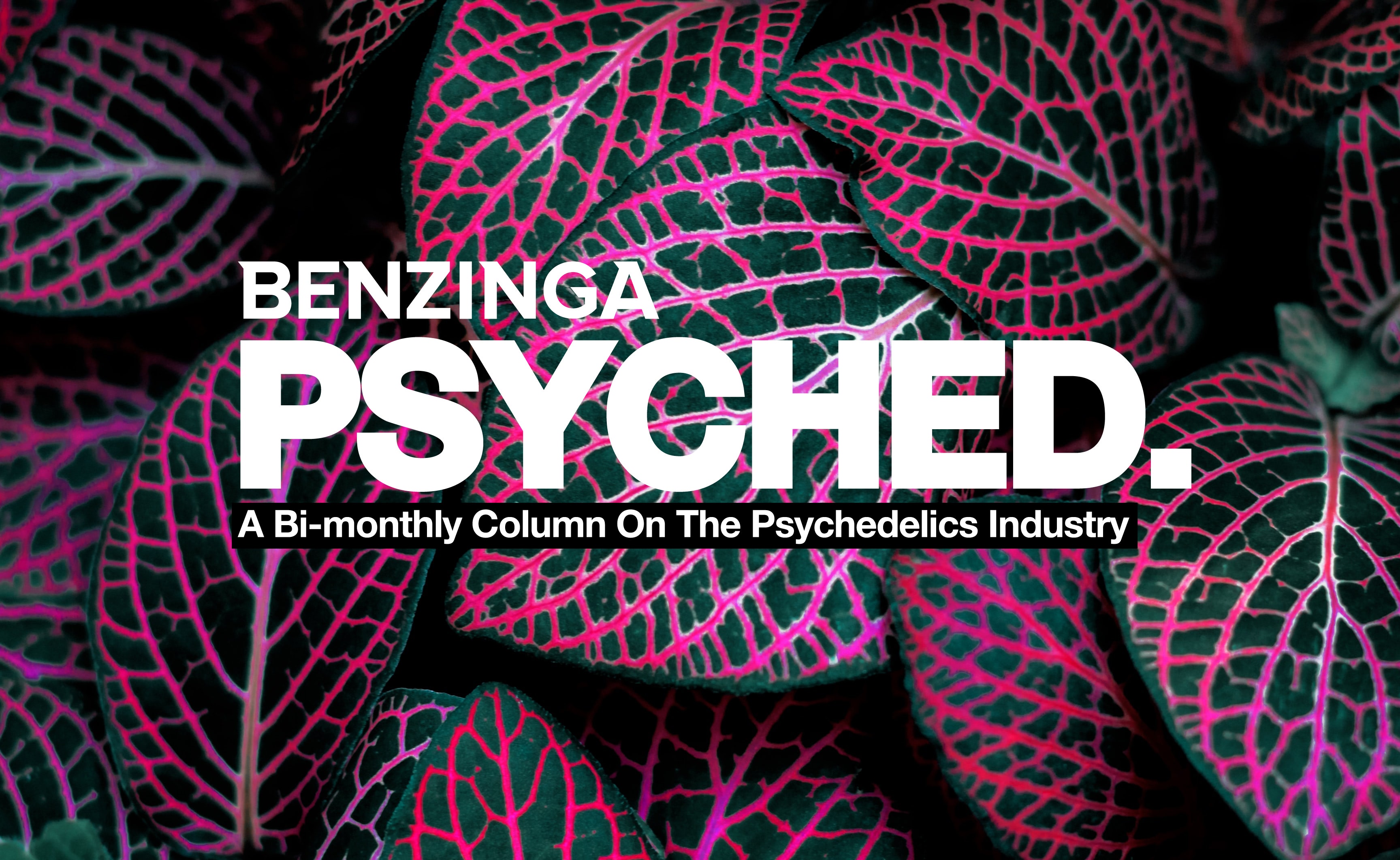 'Psyched': Mota Buys German Psilocybin Producer, Champignon Announces New CEO, $10M In Funding
