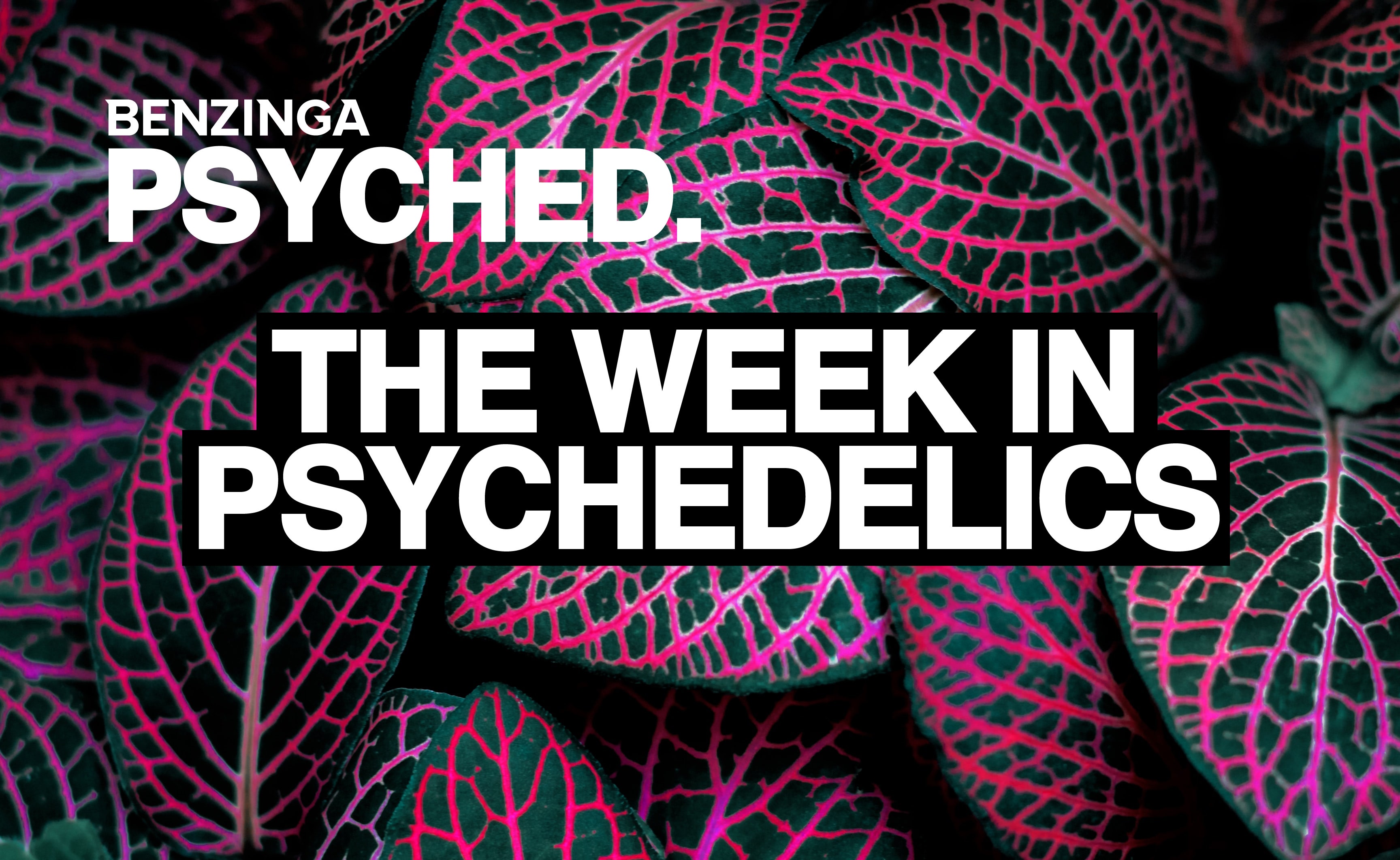 Psyched: Elon Musk Discusses Psychedelics, Delix Raises $70M, MindCure To Study MDMA In Female Sexual Dysfunction