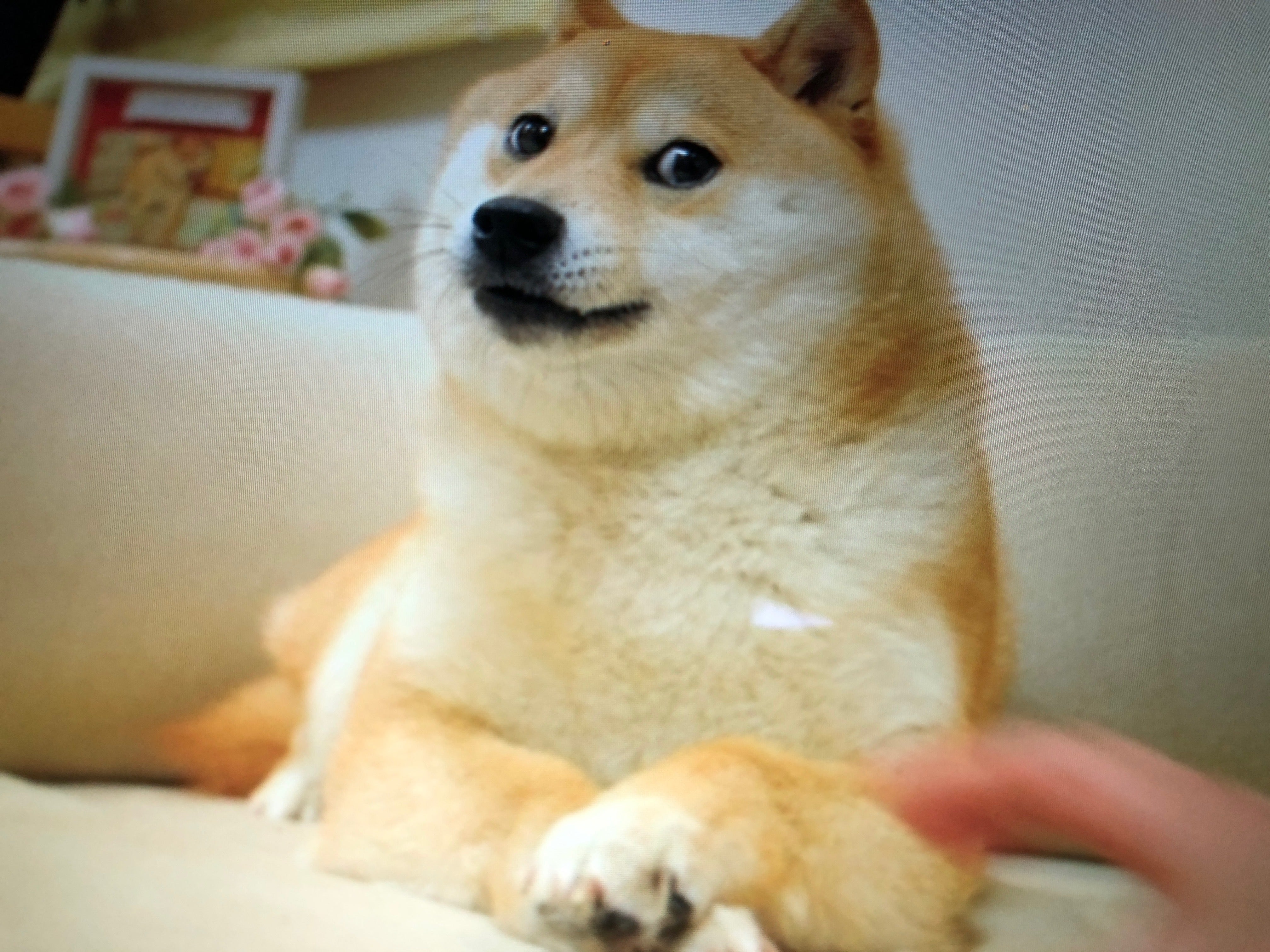 Classic Meme Behind Dogecoin To Be Available For 'Fractional Ownership' As NFT: What You Need To Know