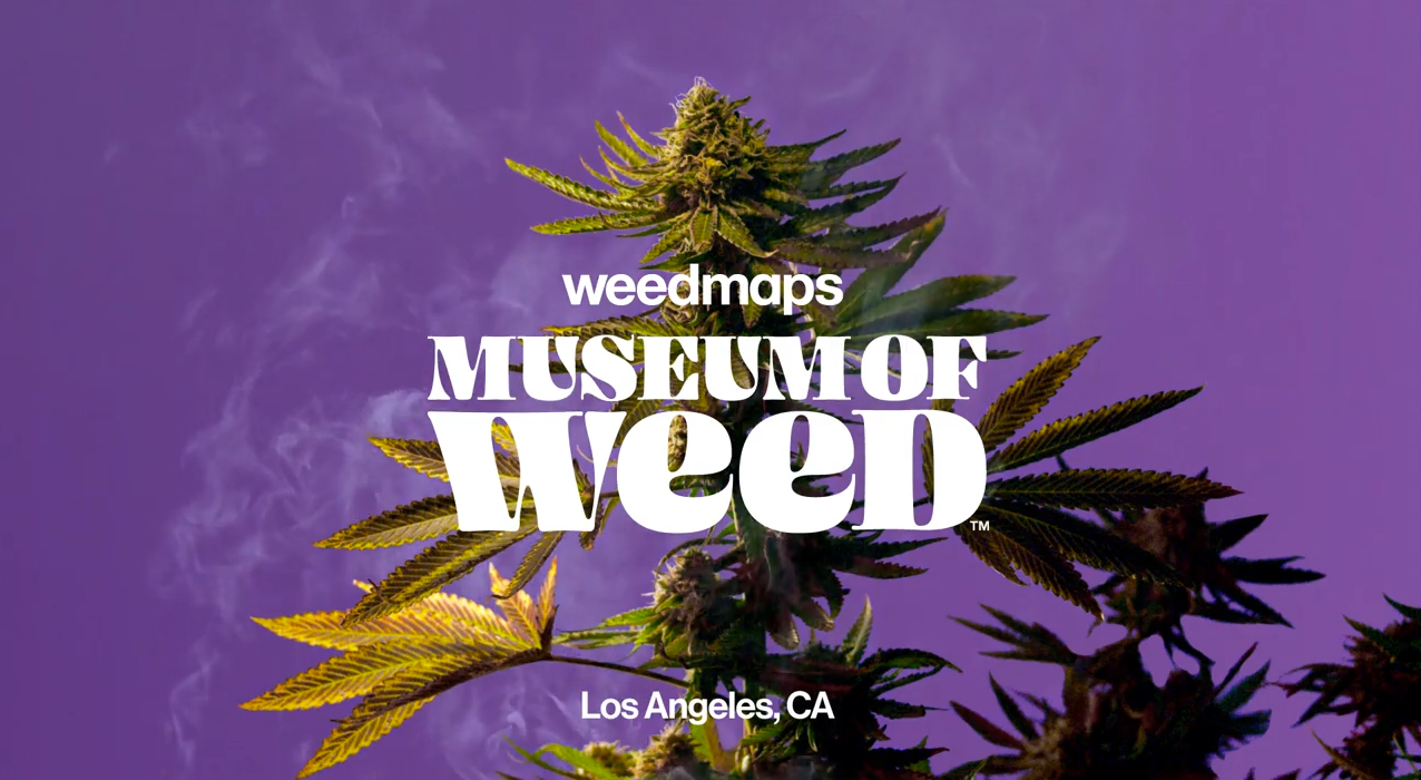 A Weed Museum Is Coming To Hollywood
