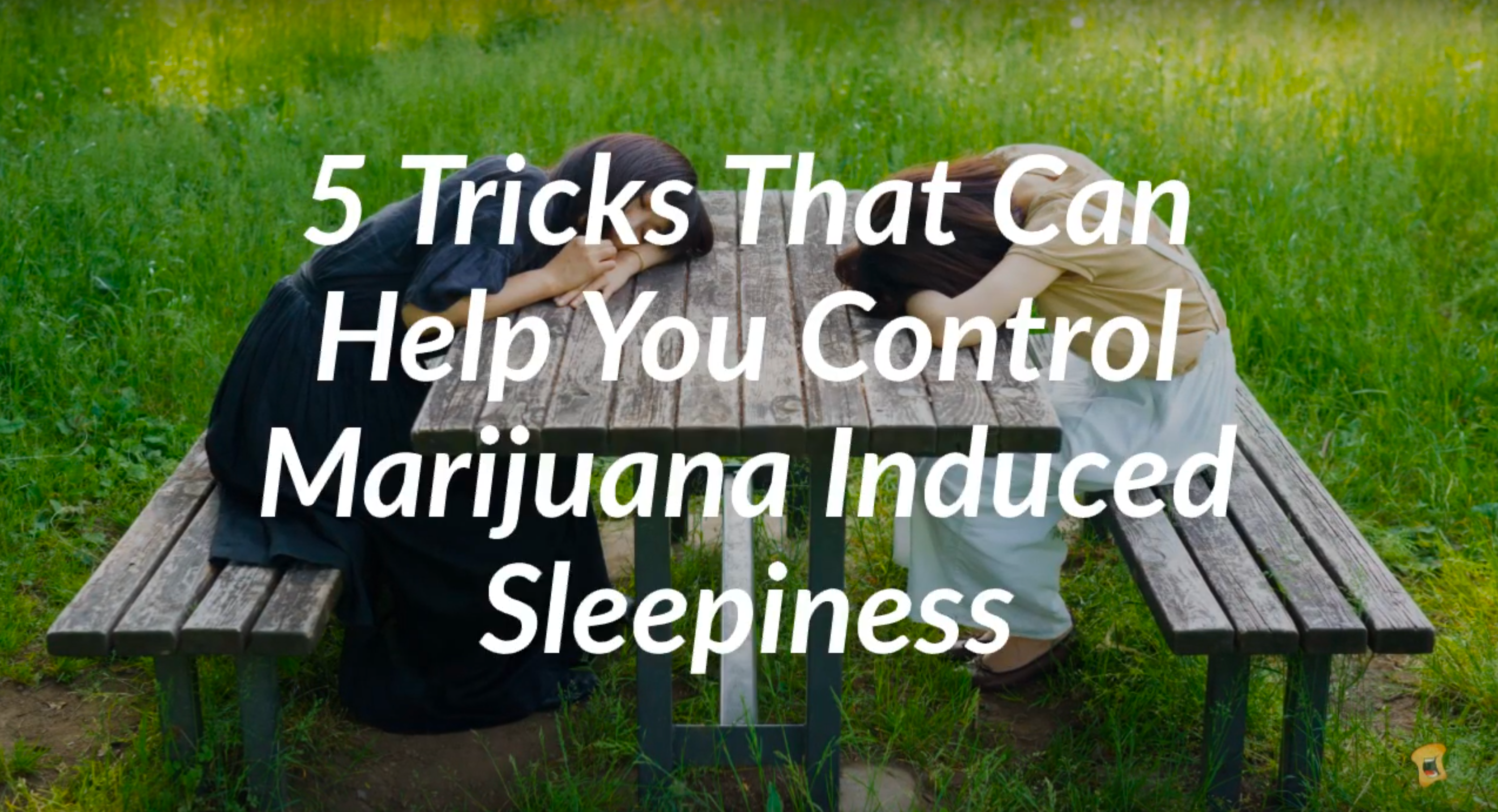 Does Weed Make You Tired Or Sleepy? These 5 Tricks Will Help You Control Cannabis-Induced Drowsiness