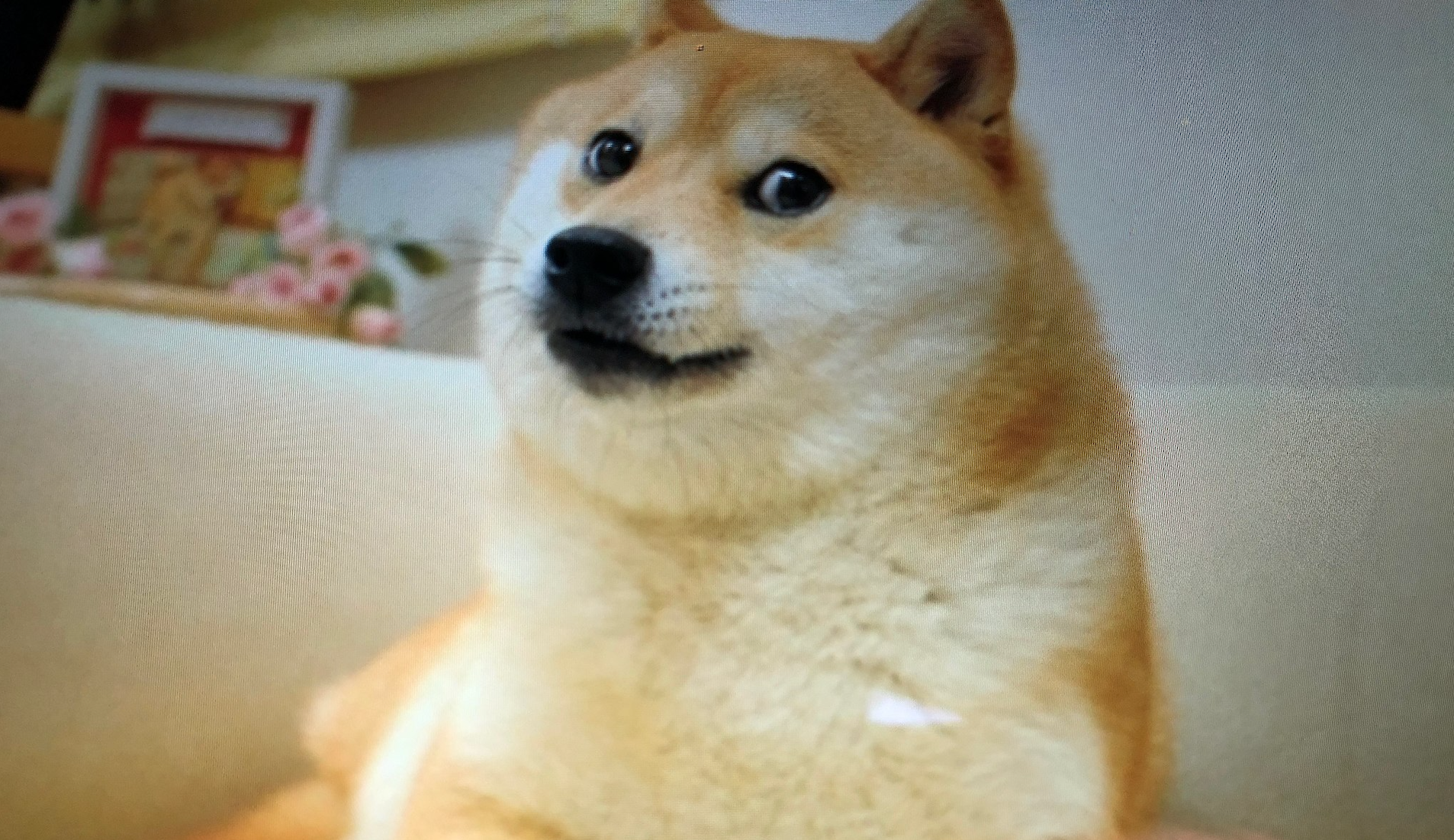 Why Is Kronos Advance Tech Ditching First Bitcoin In Favor of Dogecoin Cash?