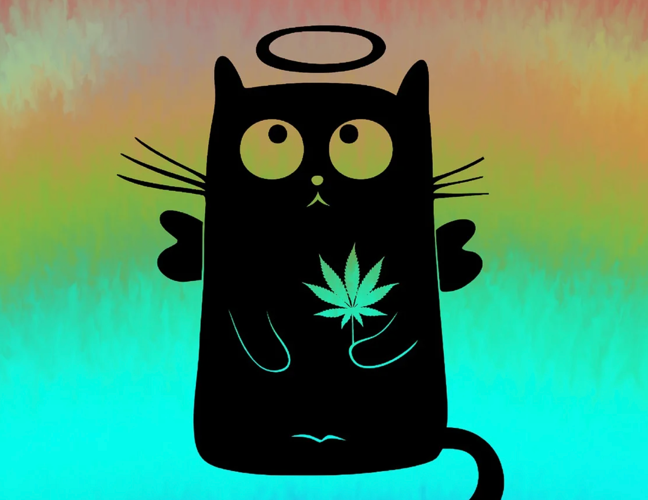 Demand For Stoner Cats So High That It Caused Chaos For Ethereum