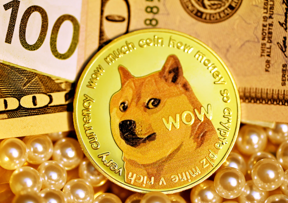 Dogecoin Still Headed For $1, Ethereum For $14,000: Crypto Entrepreneur David Gokhshtein