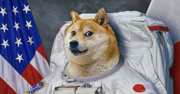 Dogecoin Retreats From All-Time High