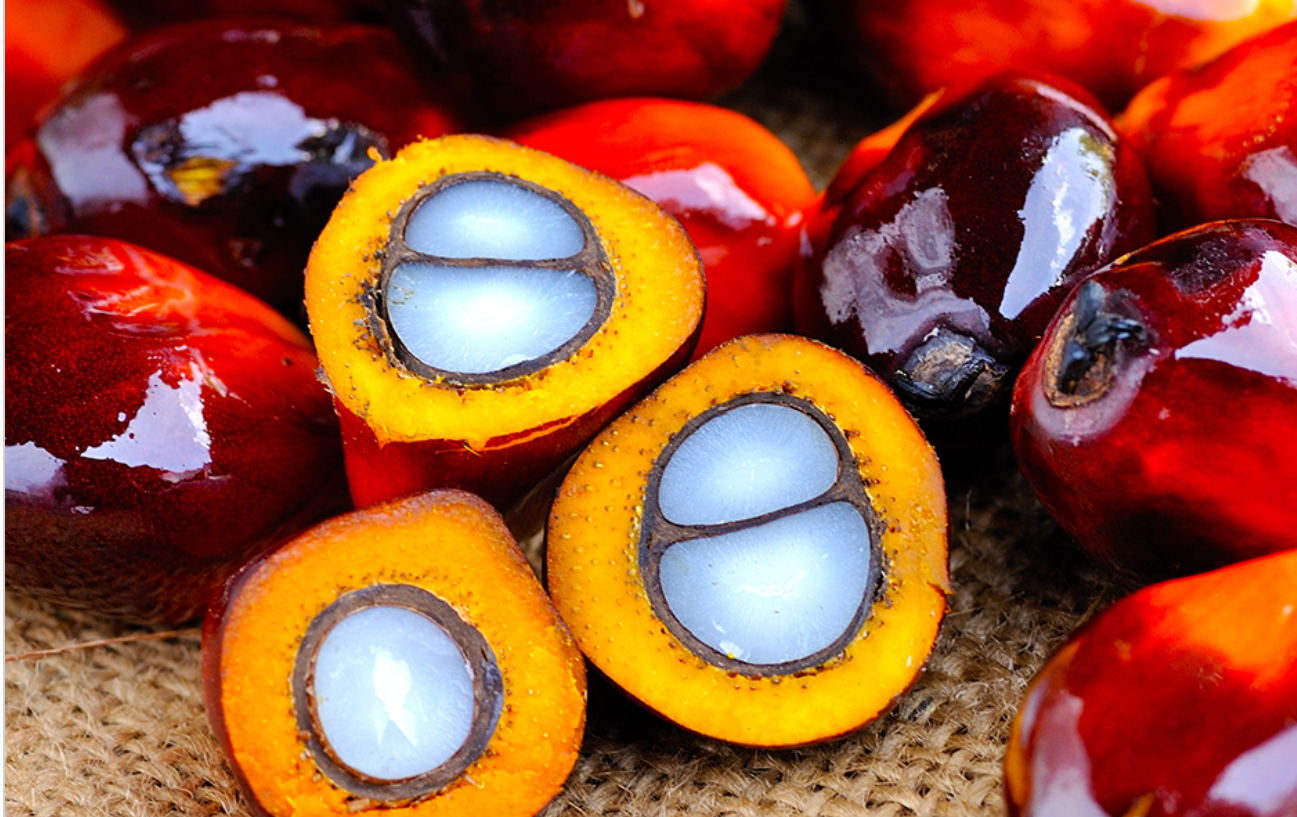 Palm Oil Monthly Update ‒ November 2021