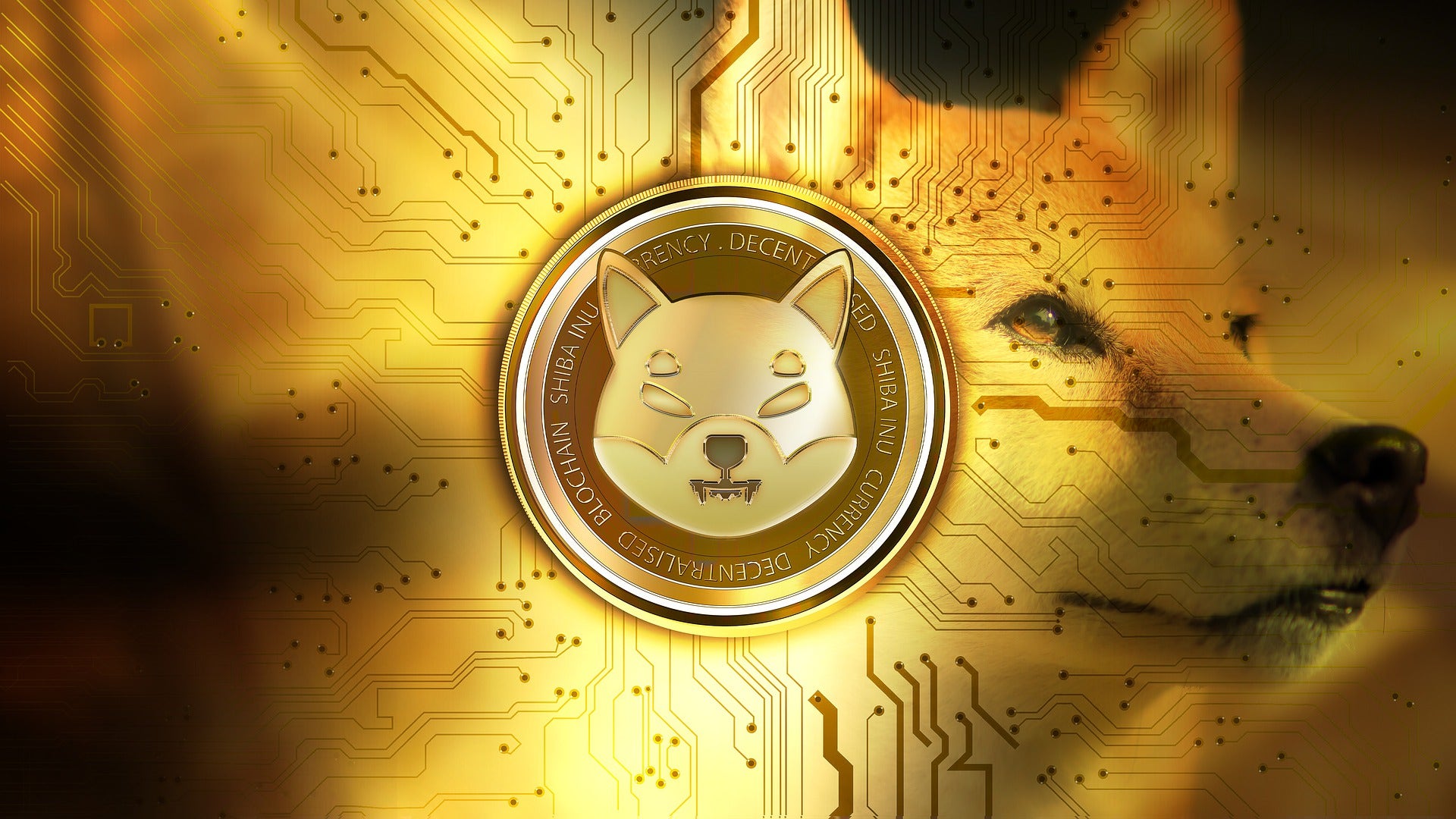 Shiba Inu Rips Higher And Might Be Breaking Out As Dogecoin Lags Behind