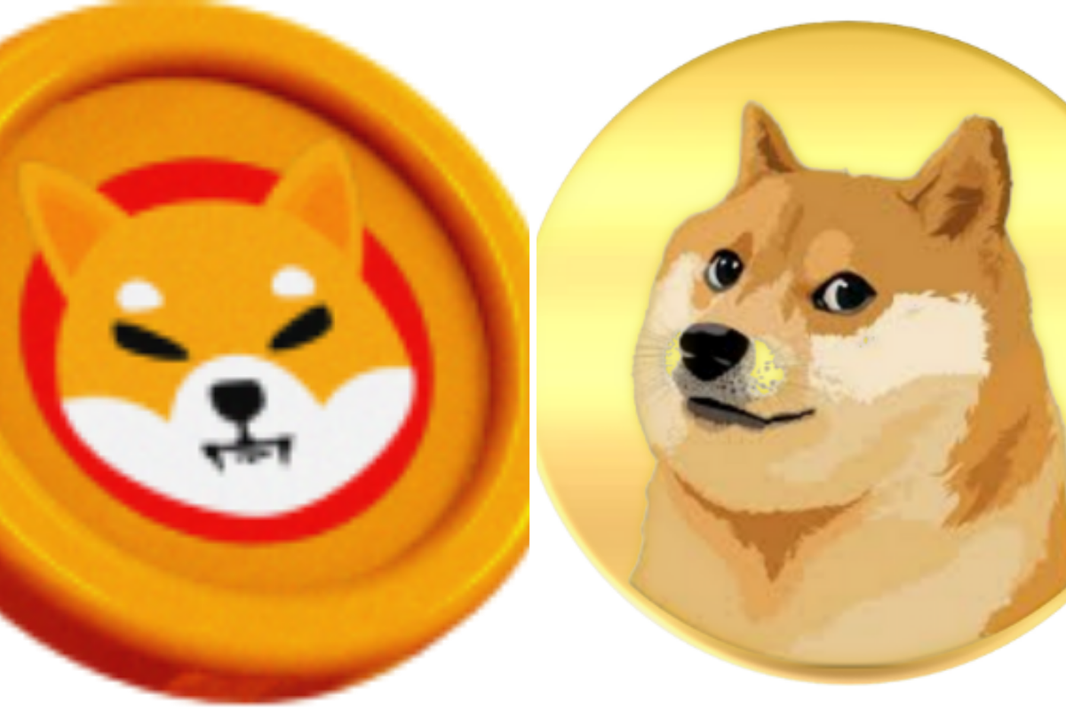 10 Companies That Now Accept Shiba Inu And Dogecoin As Payment - Benzinga