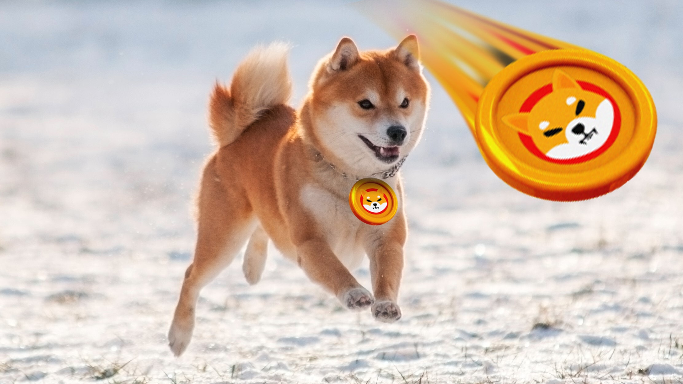 Shiba Inu Set To Launch Beta Version Of Doggy DAO To Give Users More Power, Reduce Whale Influence