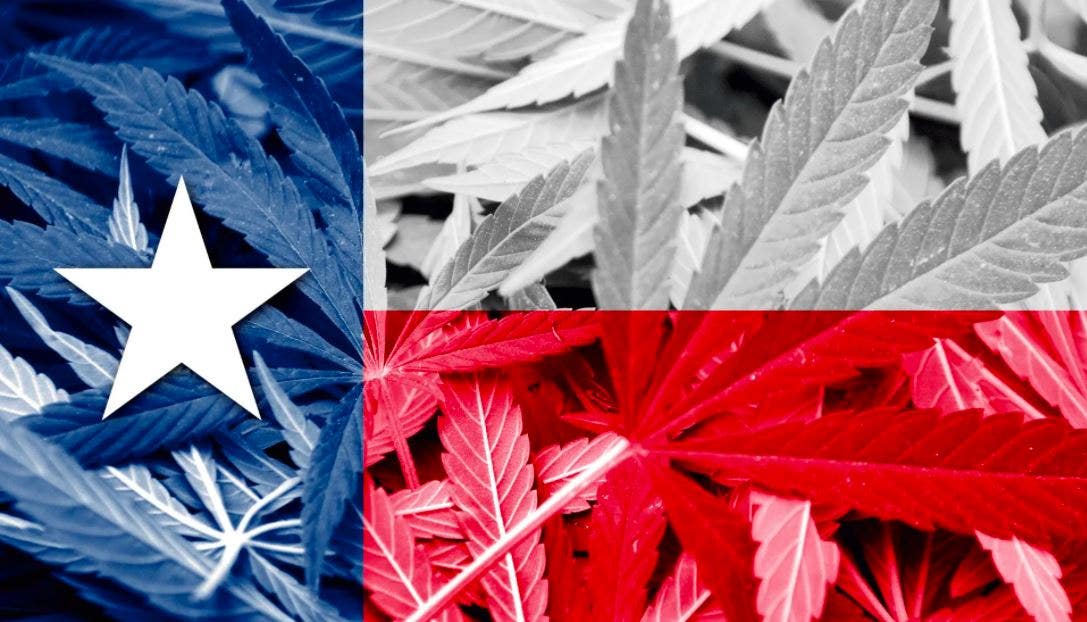 Texas Gov Greg Abbott Says People Shouldn't Be Jailed Over Marijuana Possession, Though Confuses Current Law