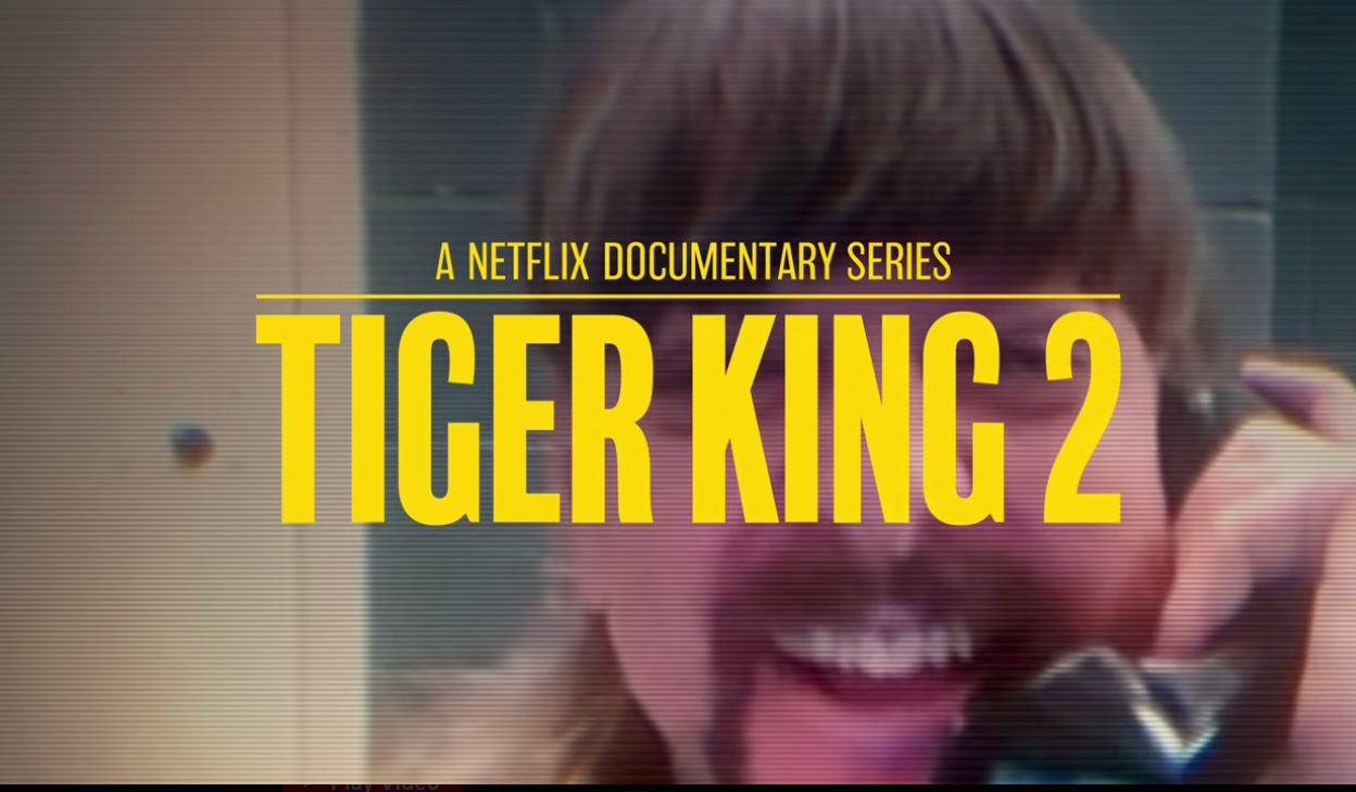 Good News For Cool Cats And Kittens: Tiger King Season 2 Is Coming To Netflix