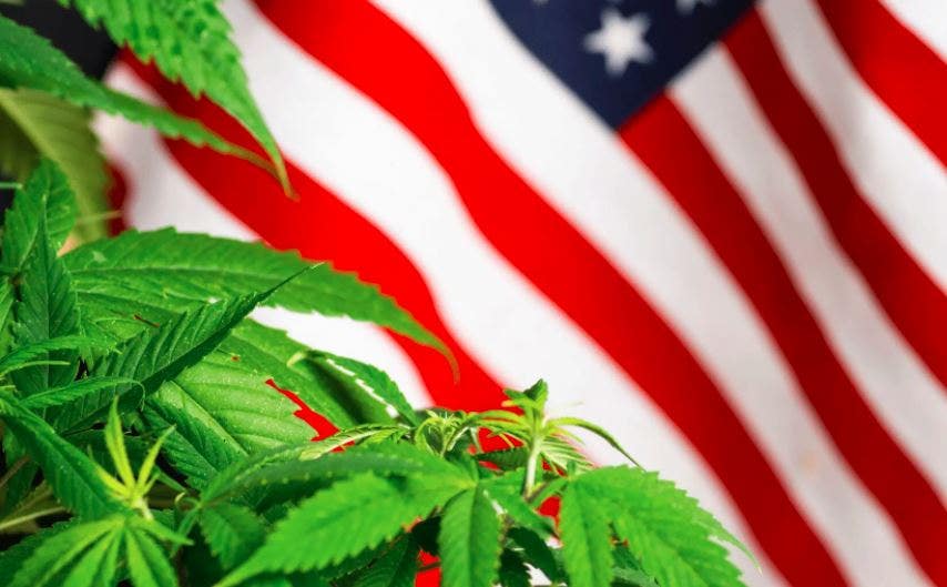 Bipartisan Tennessee Legislation Could Allow Voter Public Opinion Poll About Marijuana Legalization