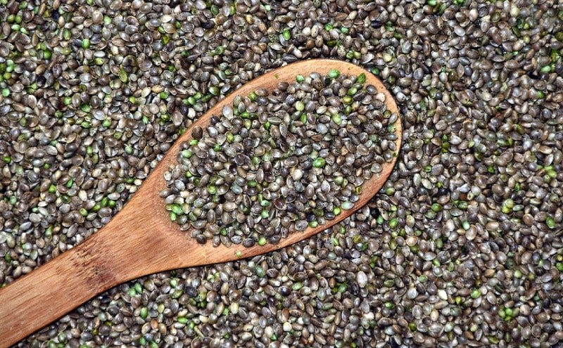 Adding Hemp Seeds To Your Daily Diet: What Are The Benefits?