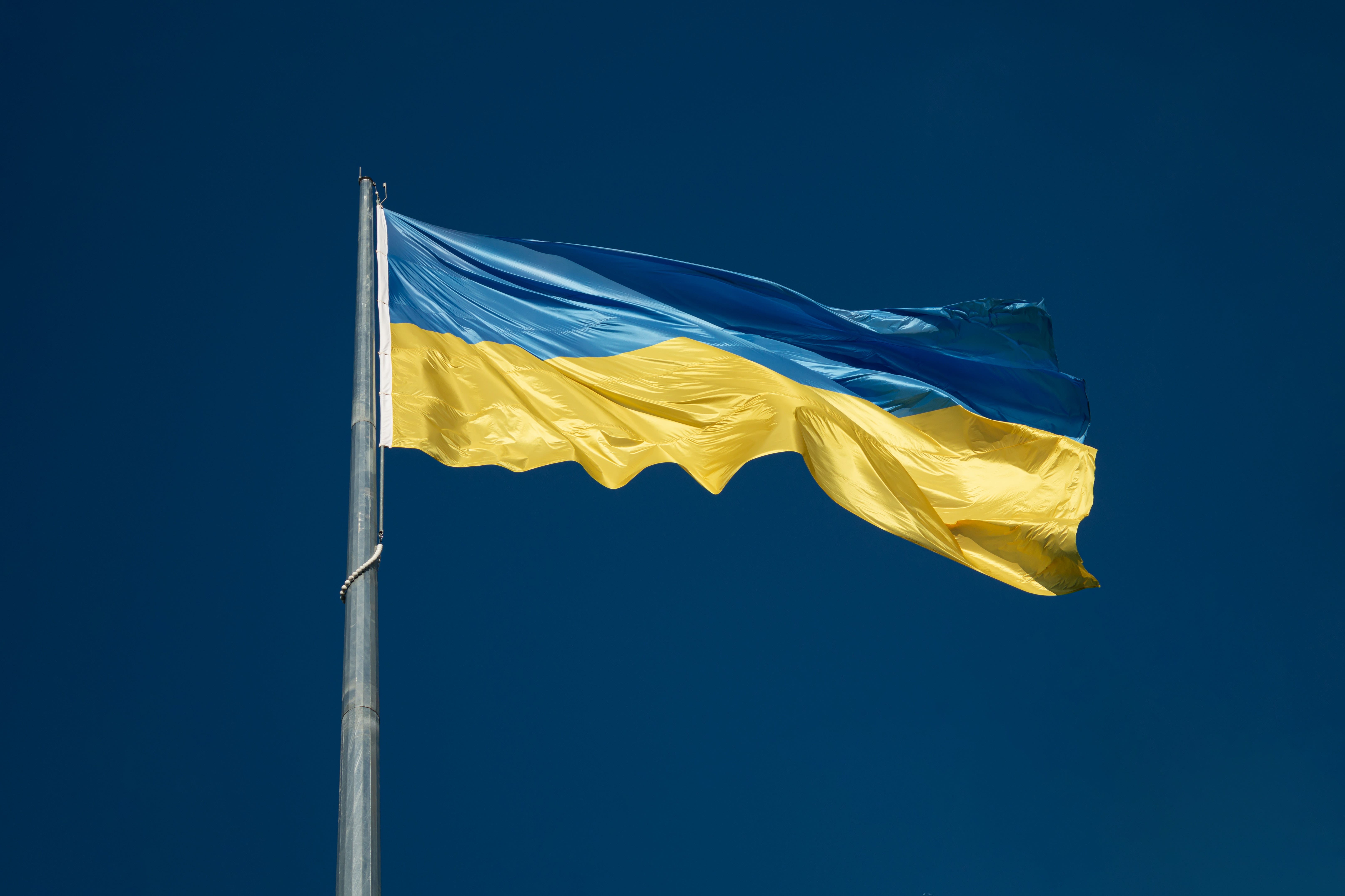Ukraine Amasses Nearly $11M Crypto Donations In 2 Days — Dogecoin, Polkadot Backers Call For Their Coins' Acceptance