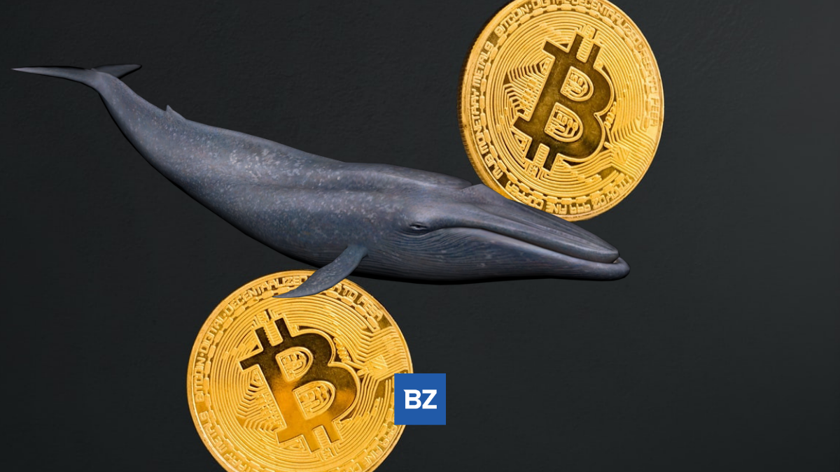 Anonymous Bitcoin Whale Just Moved $350M Worth of BTC Off Bitfinex