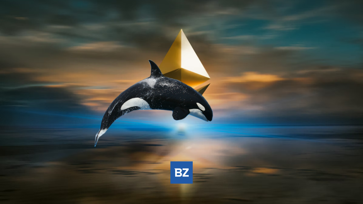 Ethereum Whale Moves 11,659 ETH Off Binance