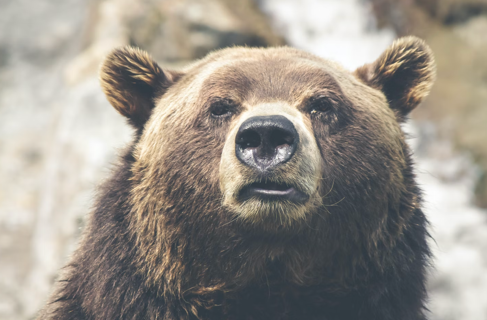 Bear Market: Dow Jones Transports Test Final Support Level