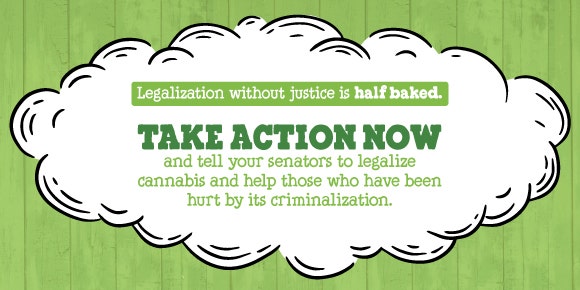 Ben & Jerry's Urges Senate To Improve Country's 'Half Baked' Approach To Cannabis Justice