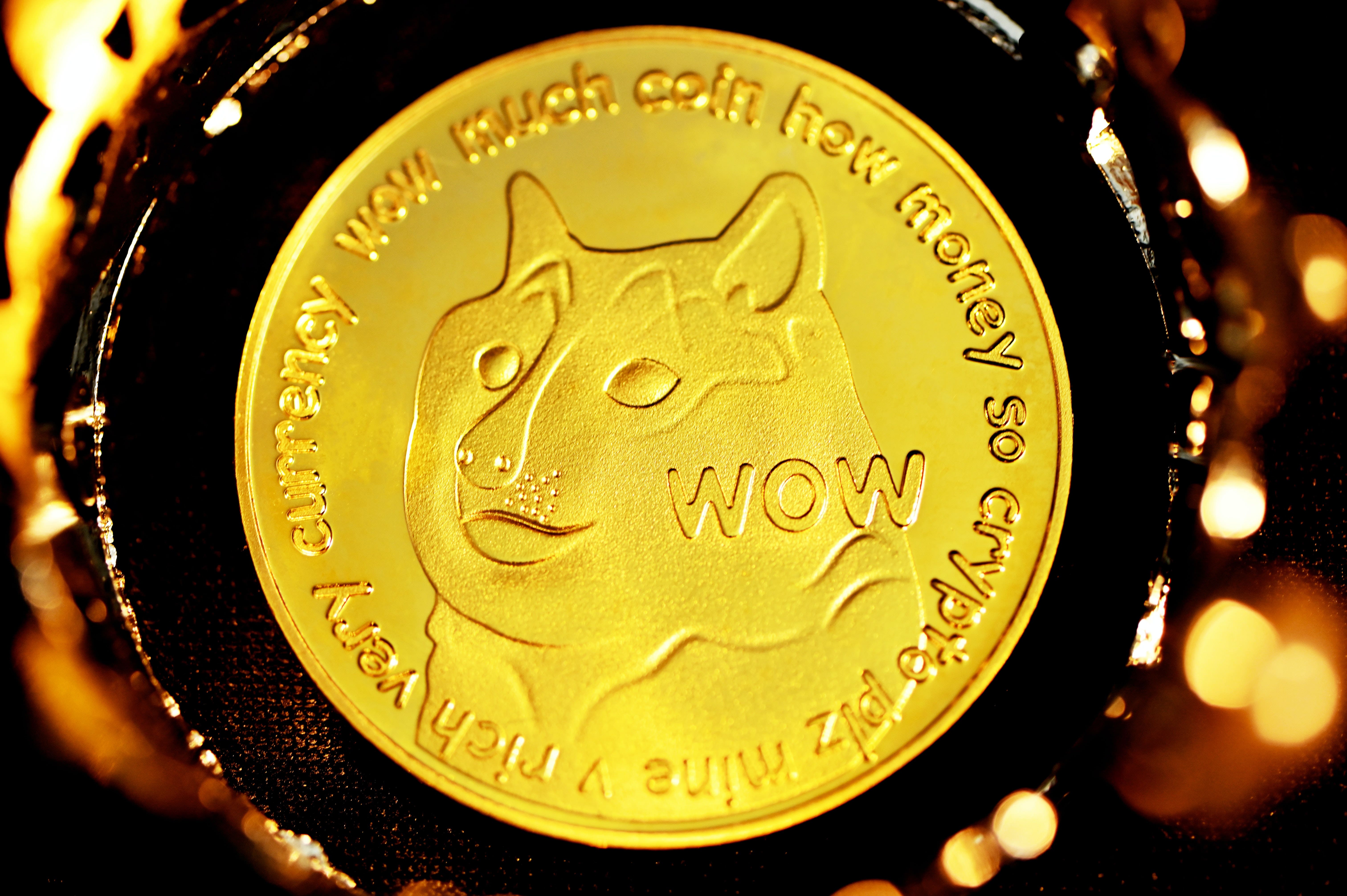 Why Dogecoin Is Edging Higher Today: Earnings Boost, Rental Fillip And More