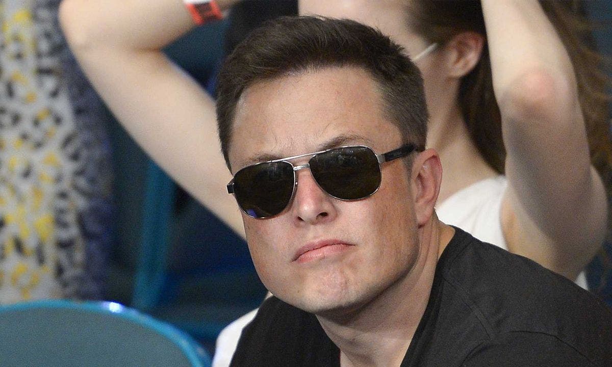 Elon Musk Says He Is On The 'Warpath' With Trolls, Wants Twitter To Be 'Broadly Inclusive'