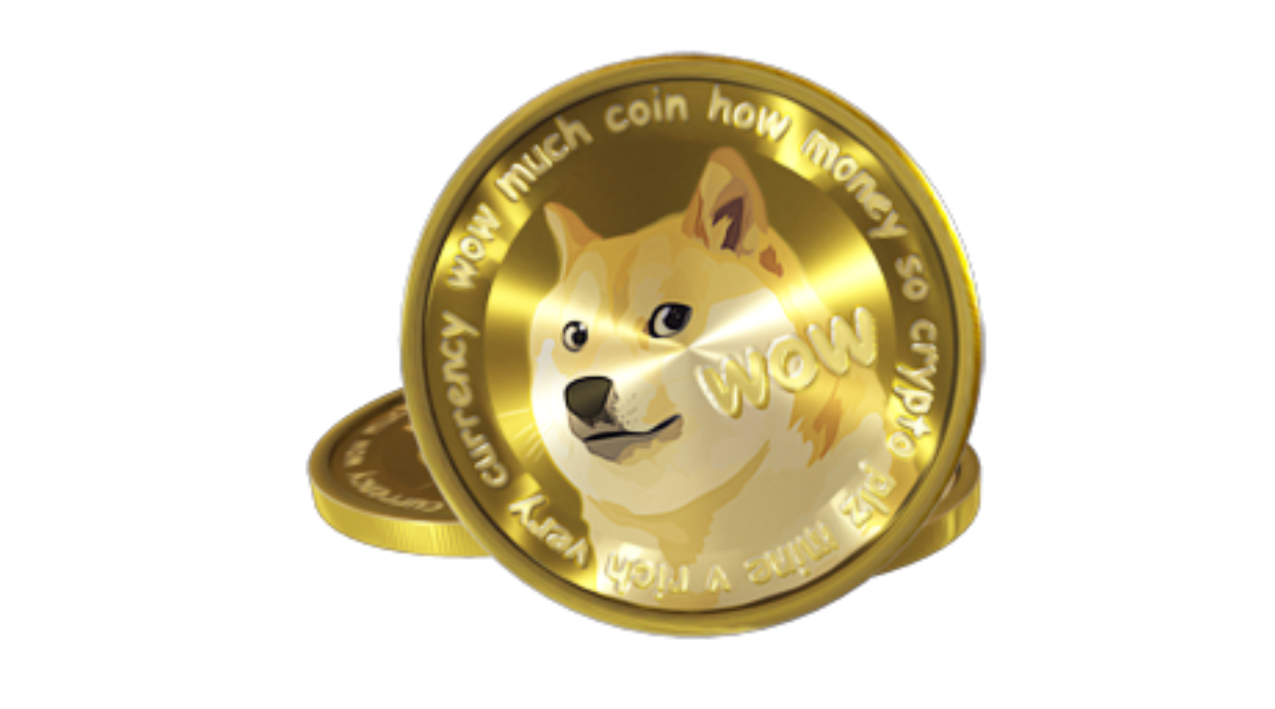 Much Currency! Much Wow! Why Dogecoin Could Be Getting Another Elon  Musk-Fueled Lift Thursday - Benzinga