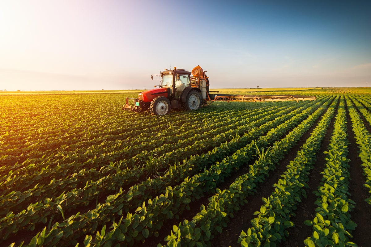 Farmland is More Profitable Than you Think. Discover 3 Simple Ways to add it to Your Portfolio Today Farmland is More Profitable Than you Think. Discover 3 Simple Ways to add it to Your Portfolio Today