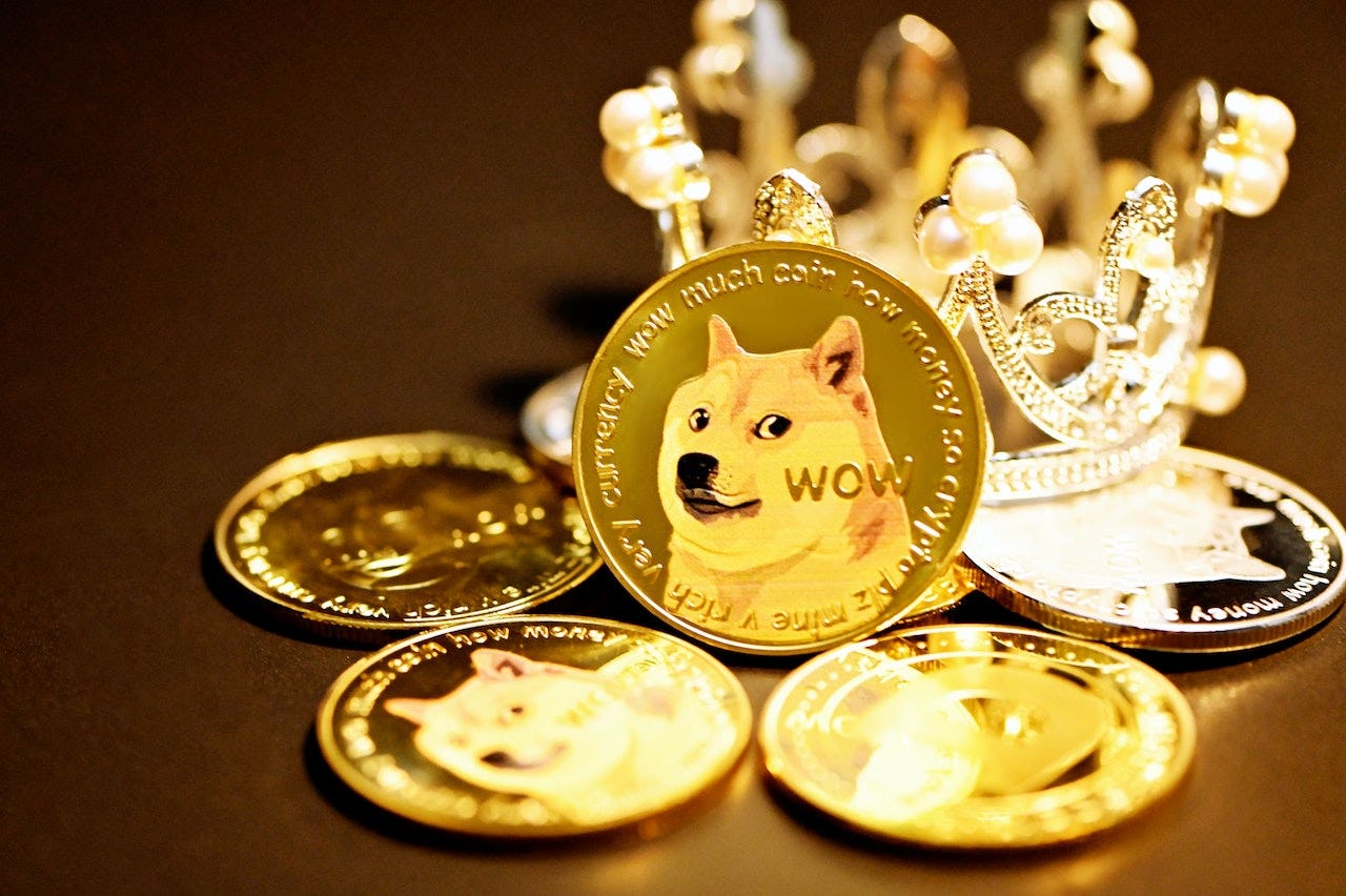 9 Members Of Dogecoin Foundation: Who They Are, What They Do