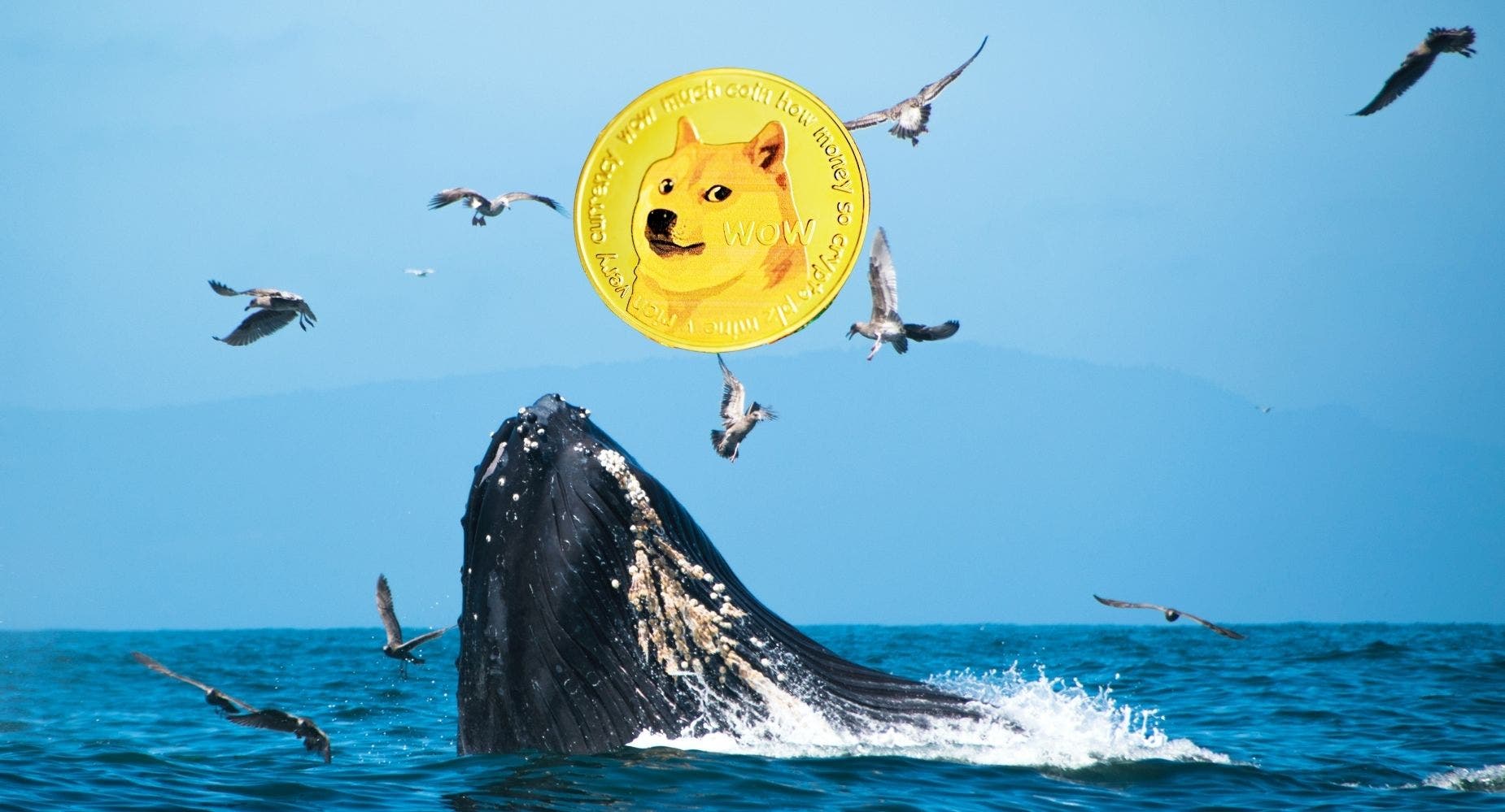 Here's How Much This Top BNB Whale Just Paid To Buy 400M Dogecoin