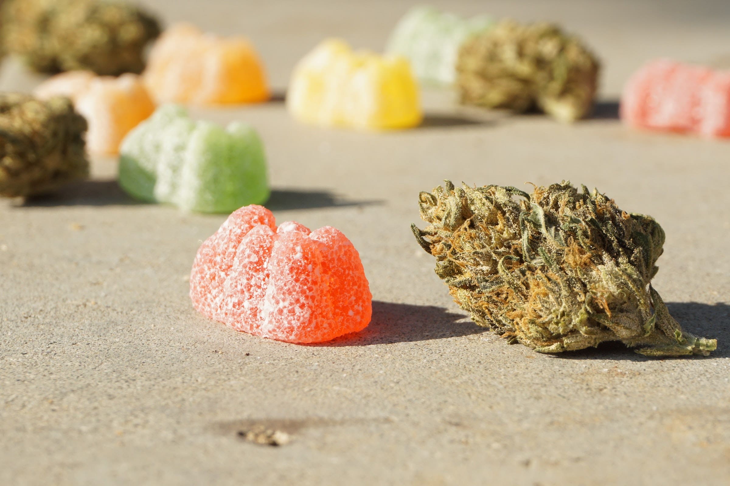 Minnesotans Can Now Legally Buy THC Edibles, But Who Will Regulate Potency & Safety?