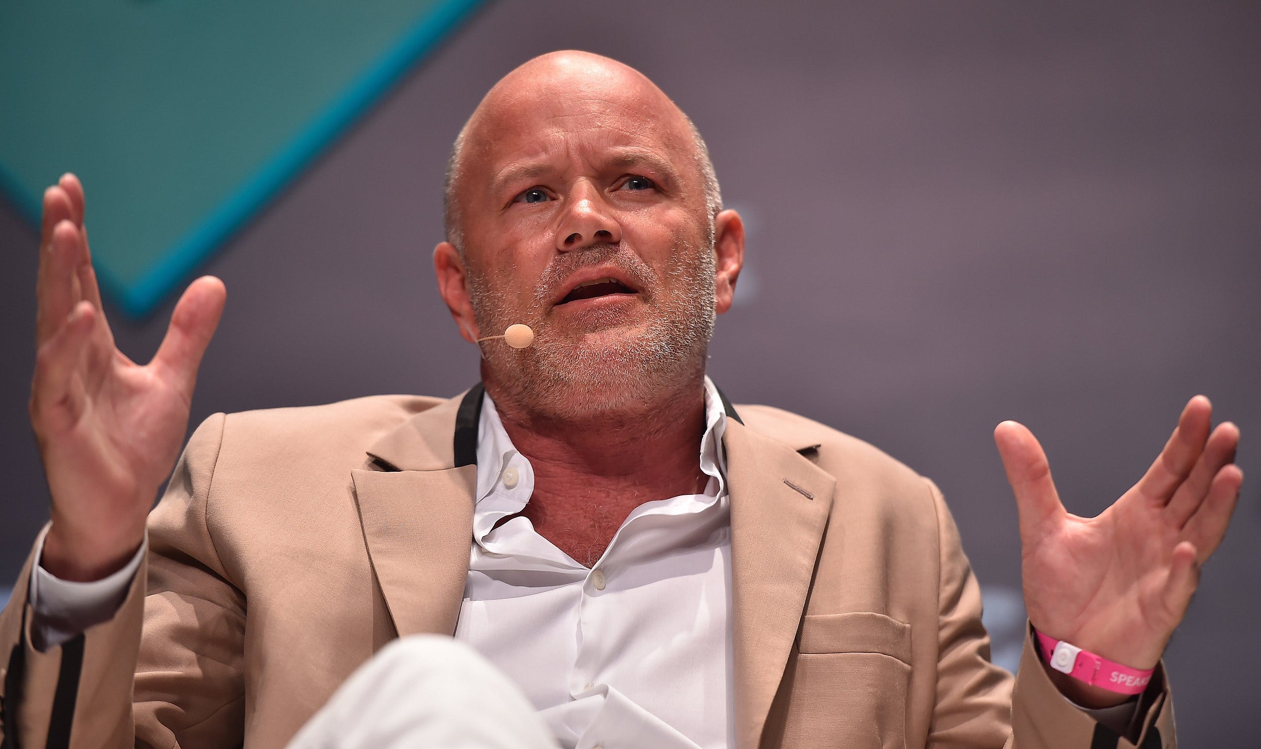 Crypto Industry Looks Like A 'Bunch Of Idiots,' Says Mike Novogratz