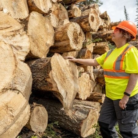 Mercer Acquires Wood Pallet Producer HIT For ~$275M