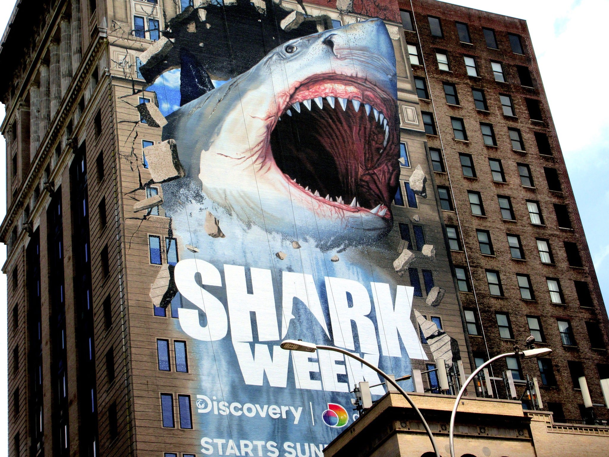 'Jaws' Returns To Long Island! Great White Shark Sightings — Just In Time For 'Shark Week'