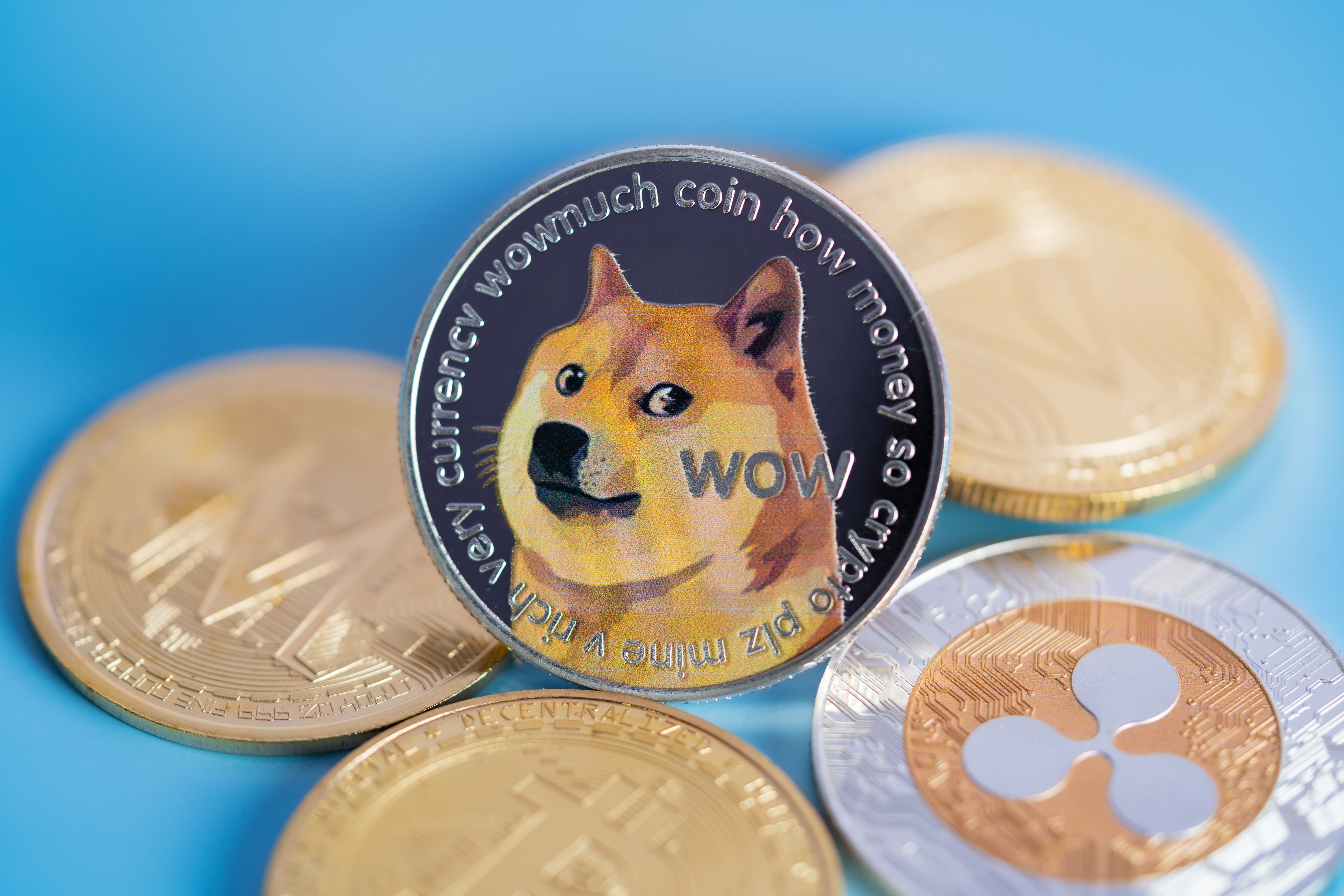 Dogecoin Is So Far Ahead Of Visa's Payment Speed, It's 'Laughable,' Says Lead Developer