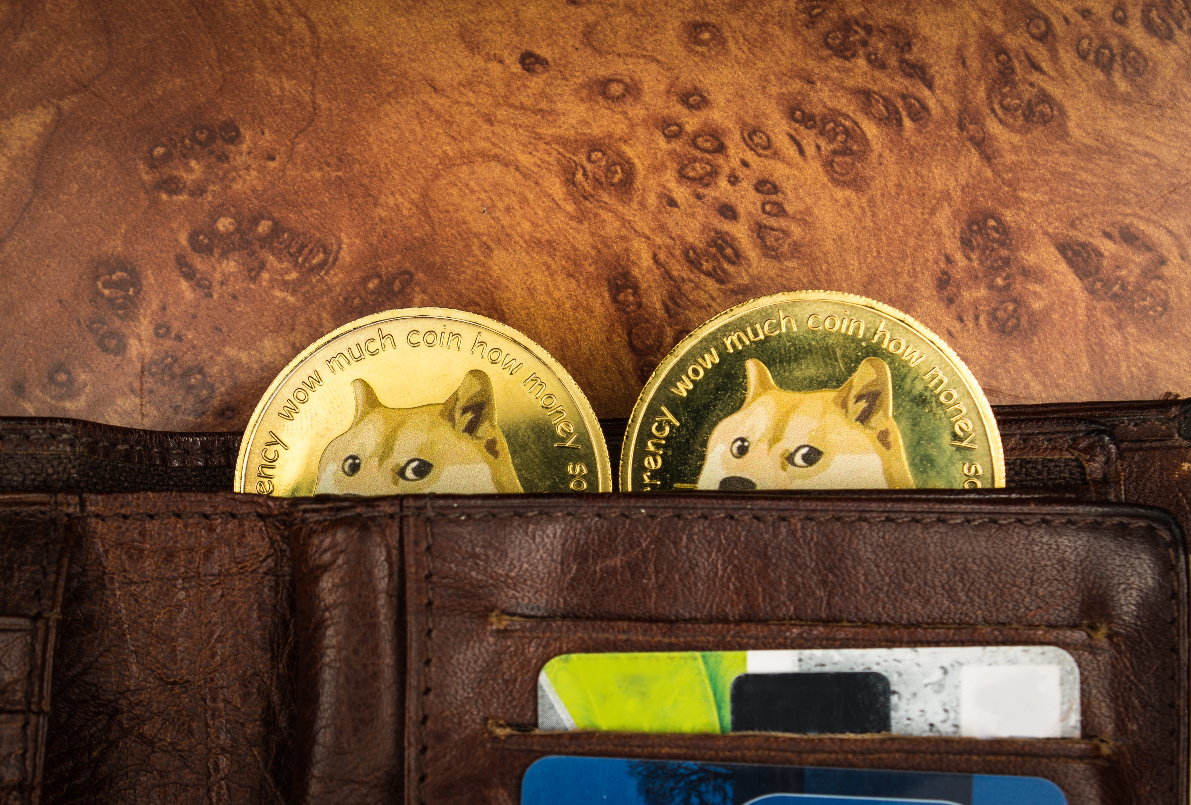 Dogecoin Daily: Price Goes Up Despite Losses in Bigger Coins, 'DOGE Millionaire' Cheers Portfolio Rise