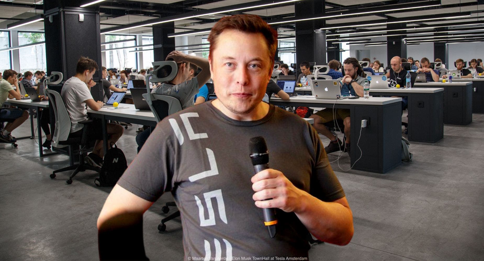 Working With Elon Musk: 'If You Were Getting Micromanaged By Elon, You Were Probably On Your Way Out'