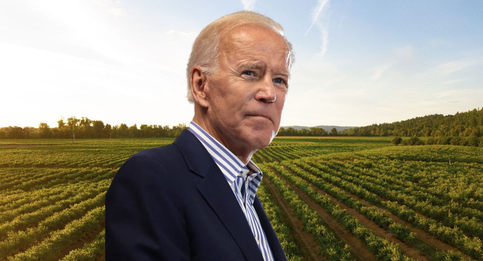 3 Under The Radar Dividend Stocks In Agriculture As $20B From Biden Inflation Bill Flows To Farms